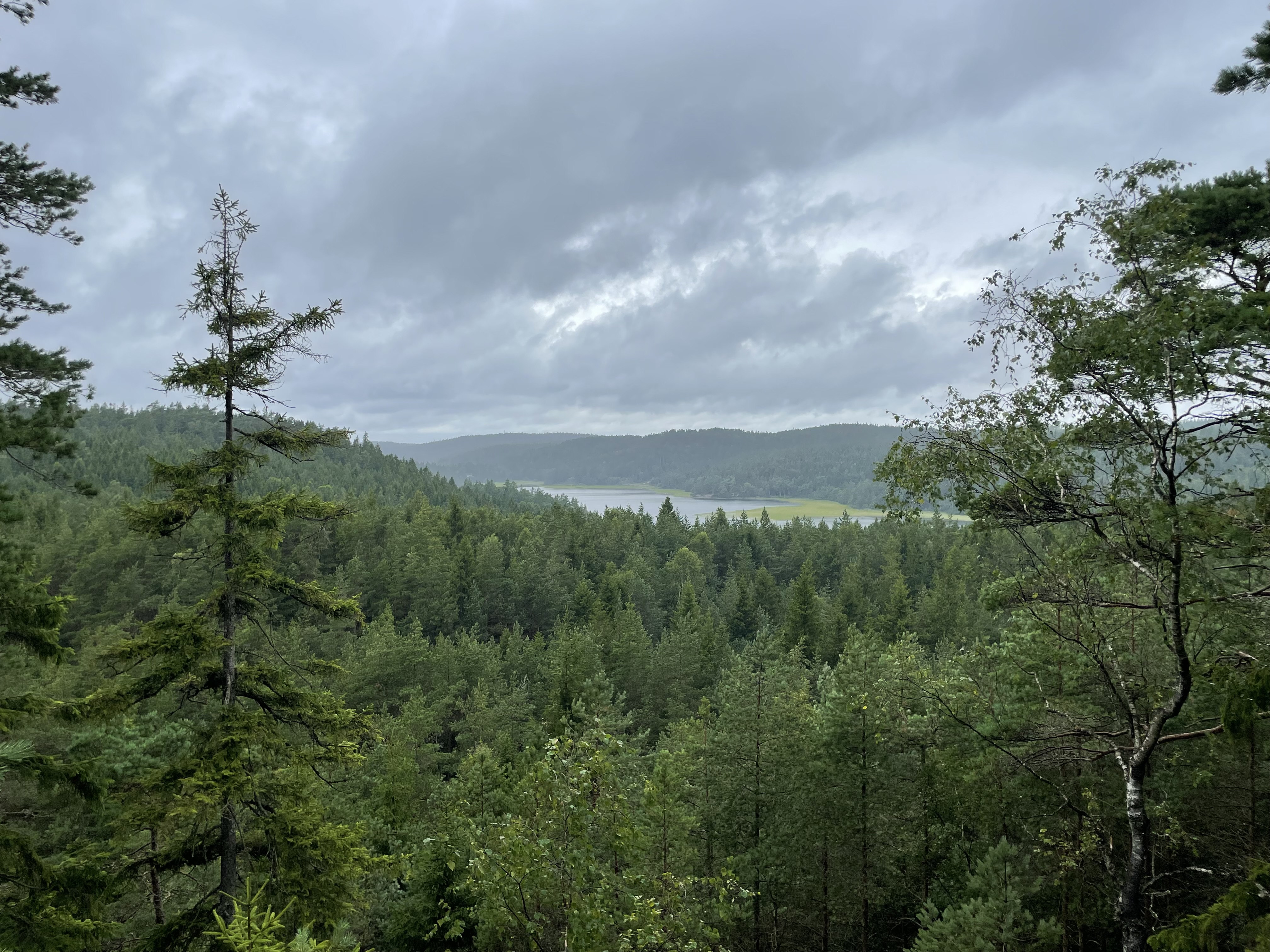 Hike media