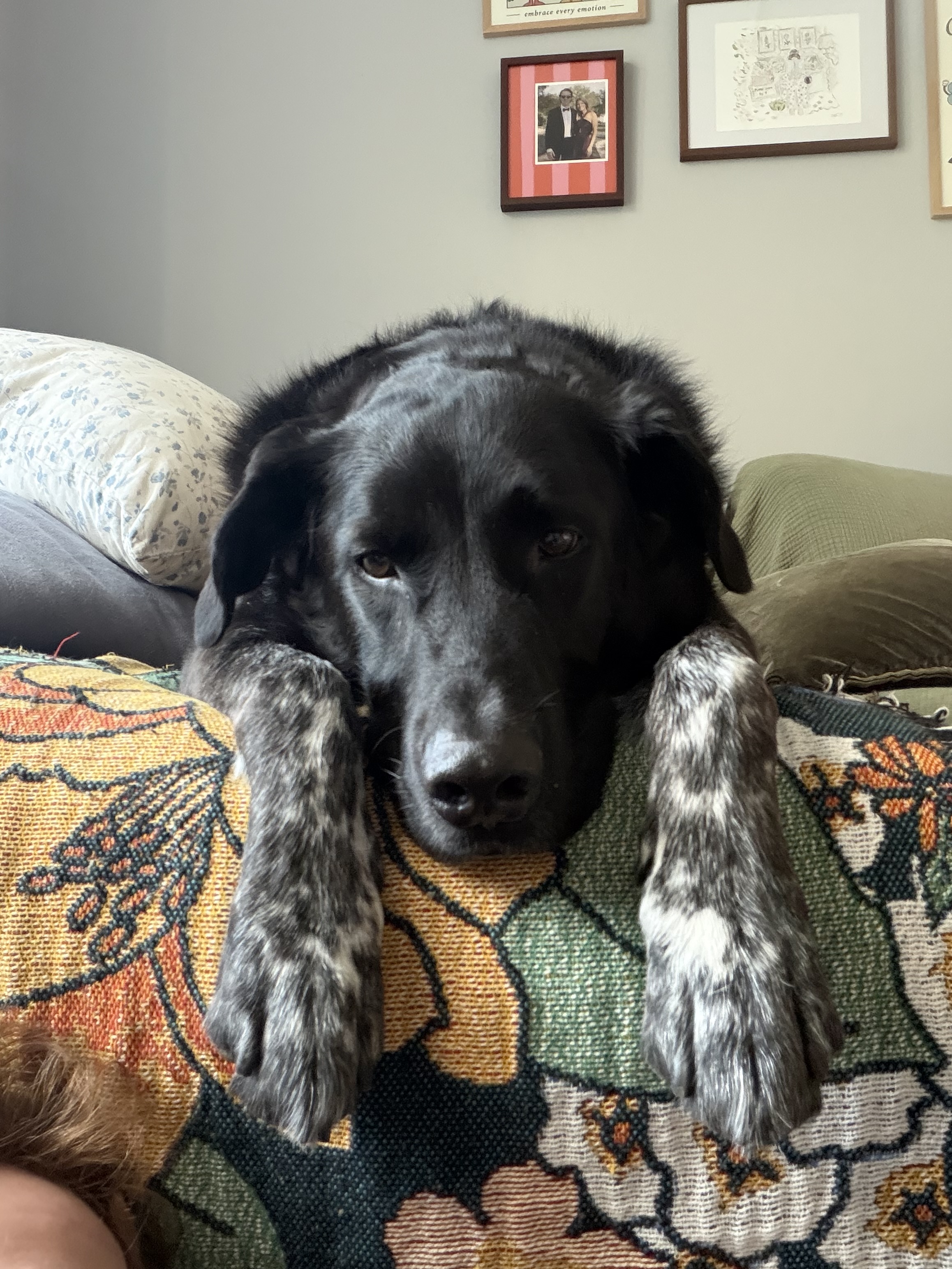 Run media
