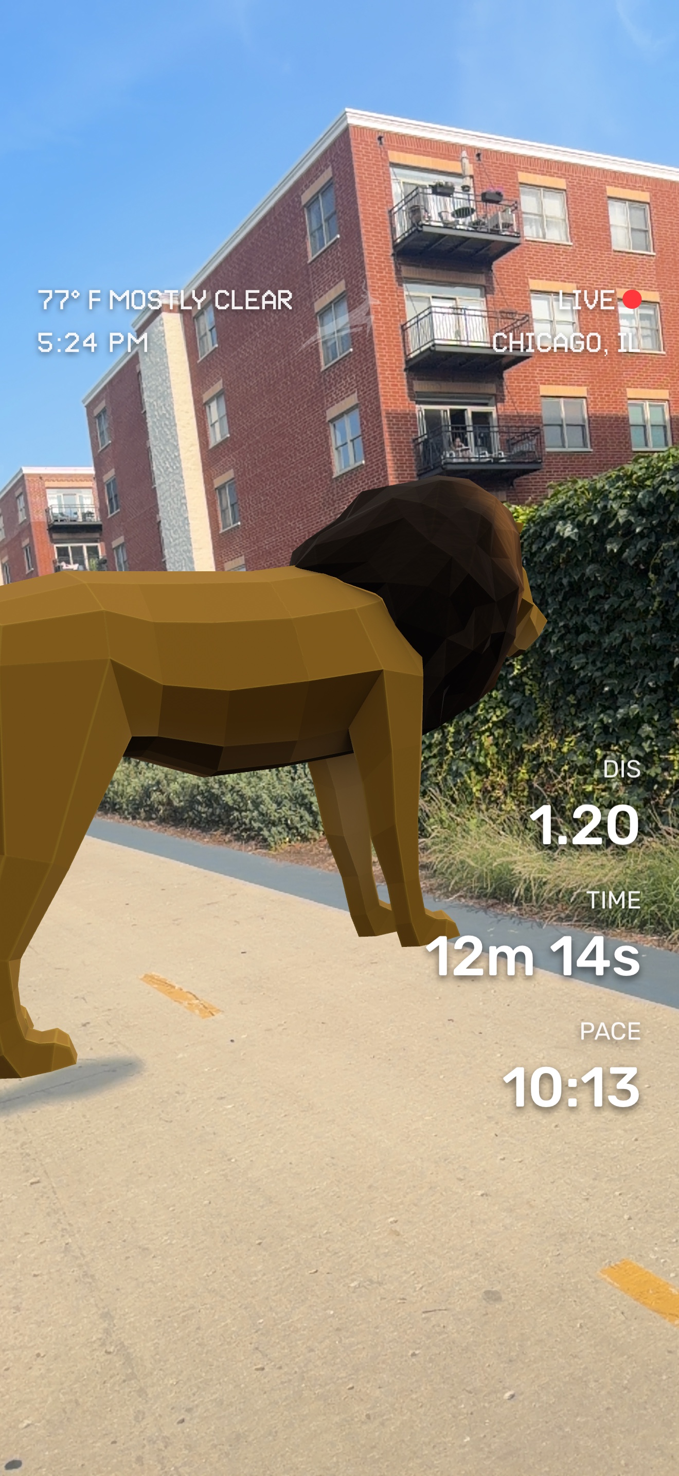 Run media