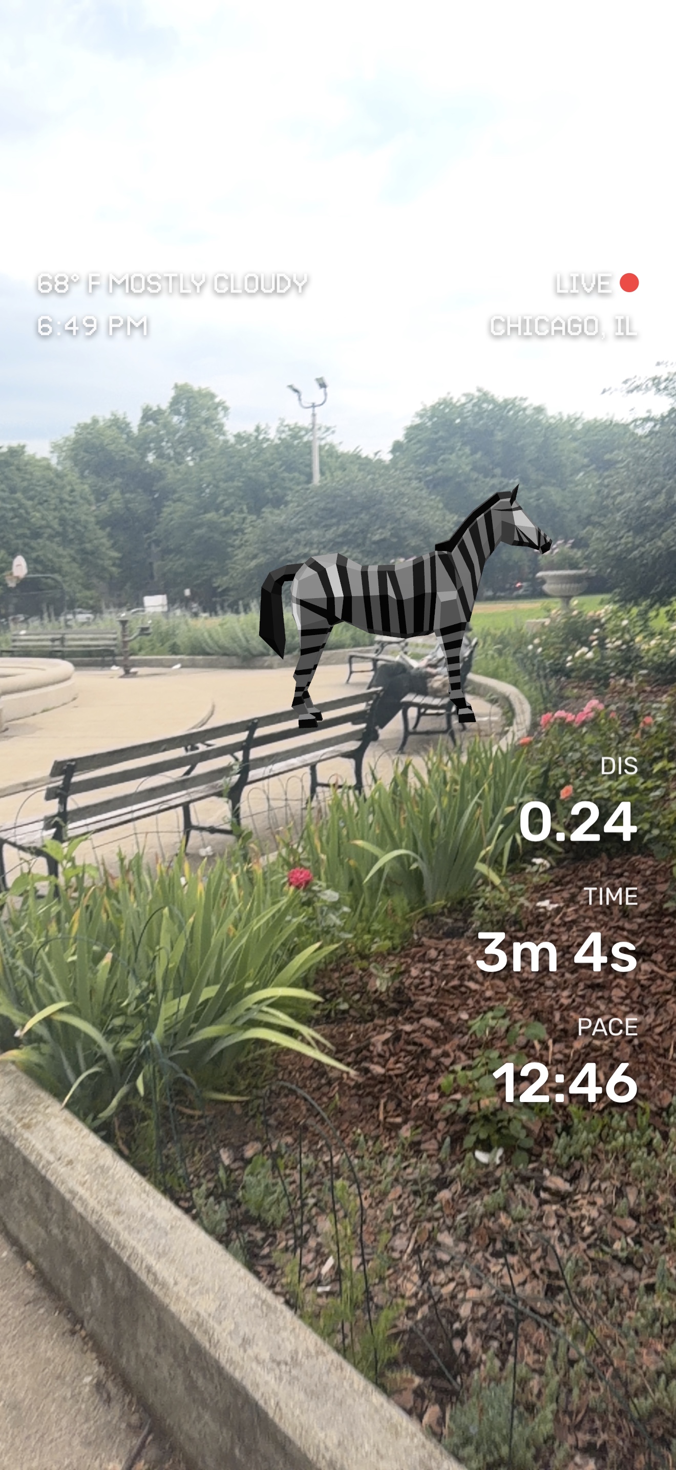 Run media