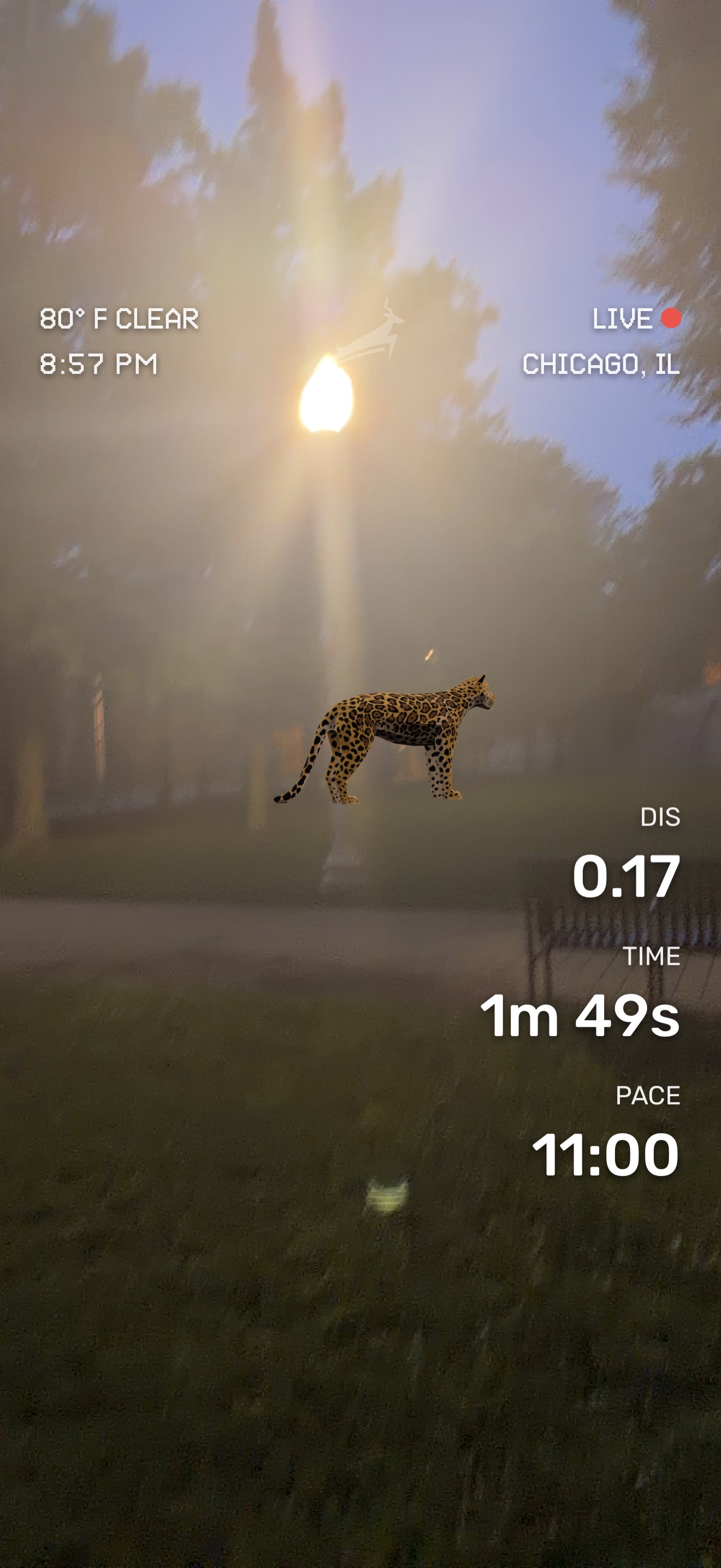 Run media