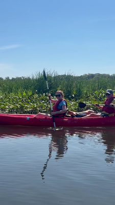Rowing media