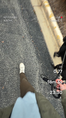 Walk media