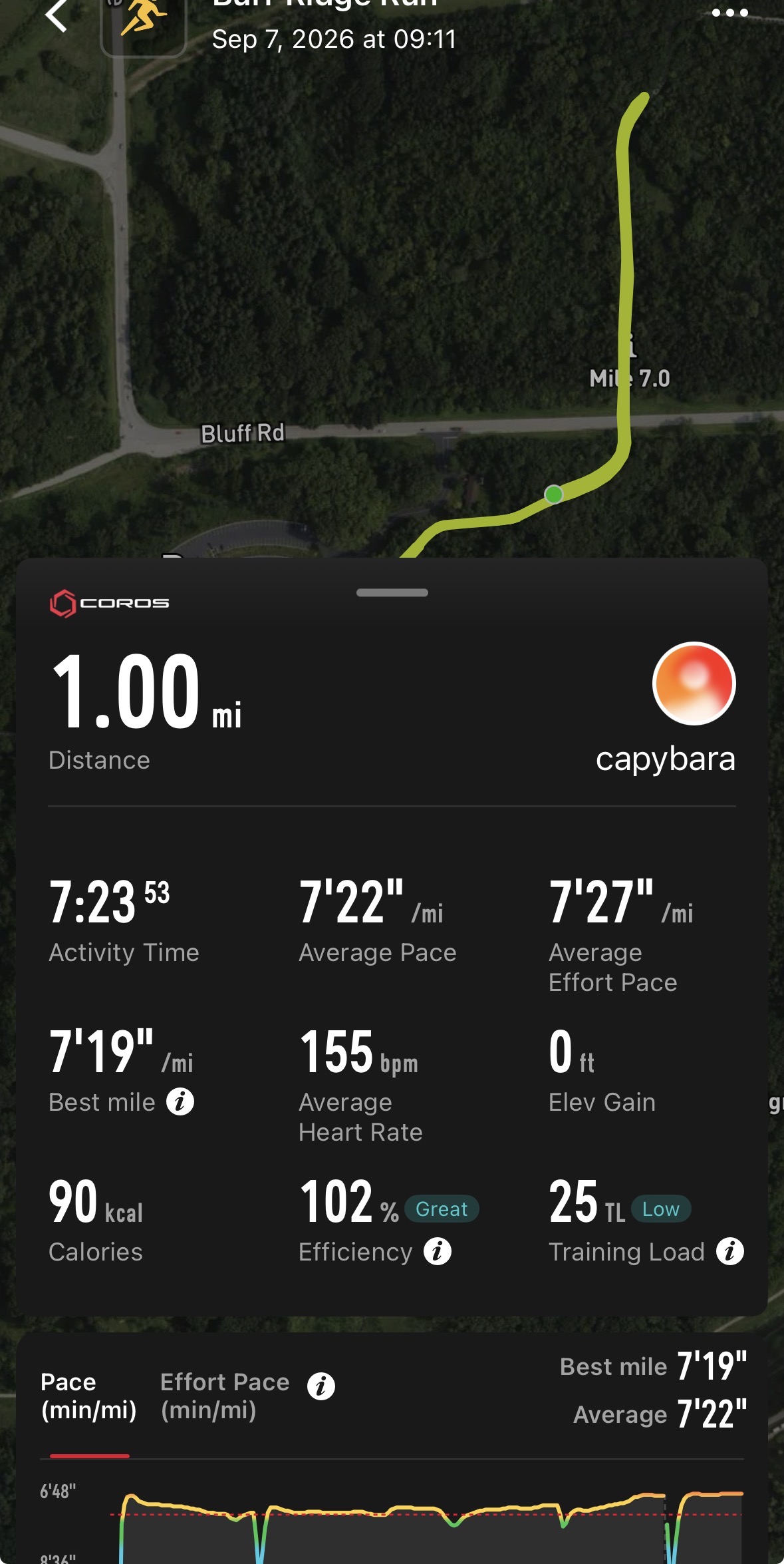 Run training