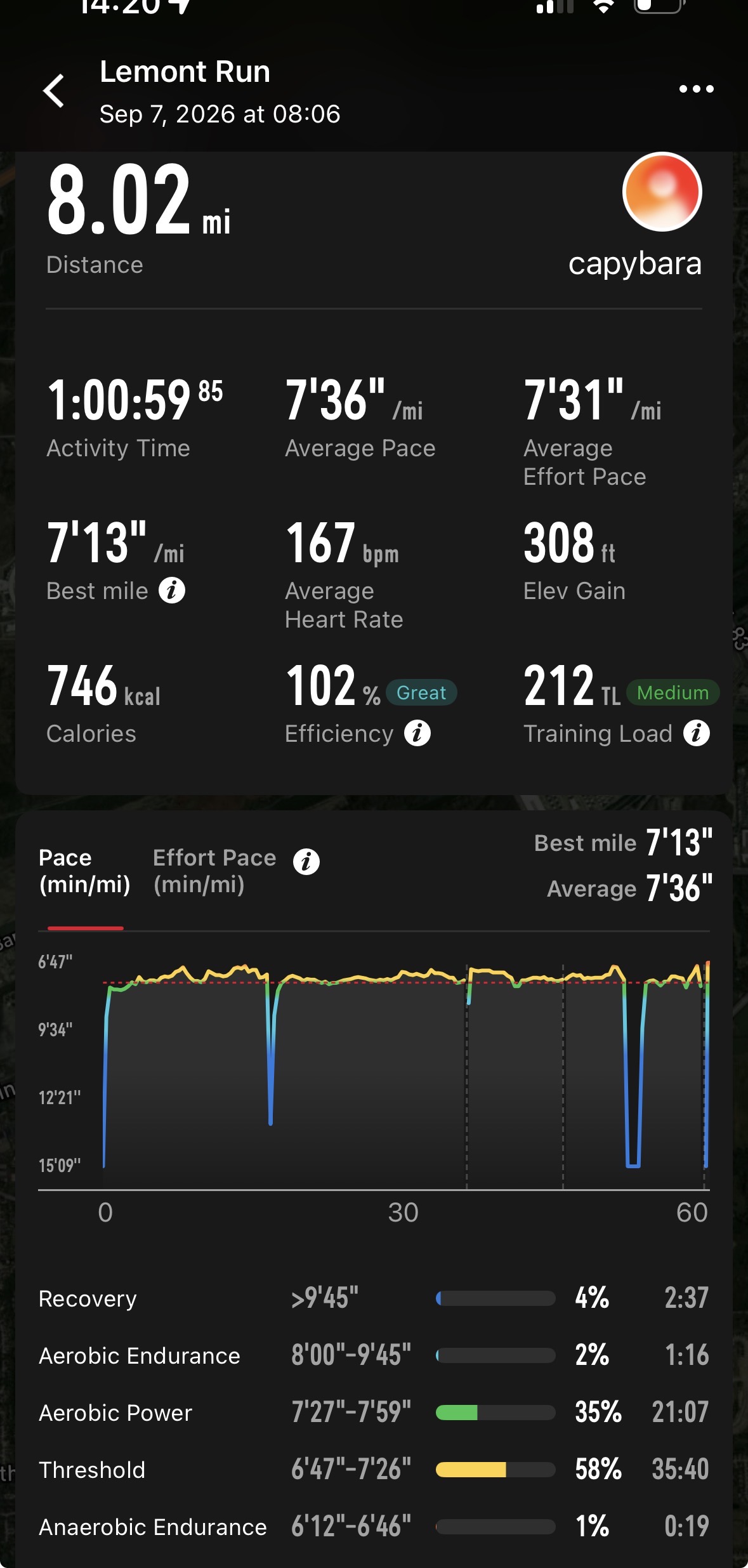 Run training