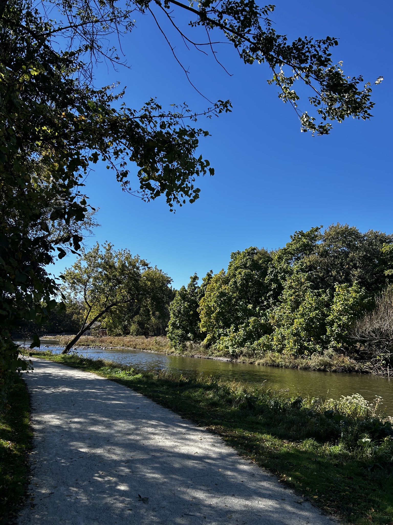 Run training