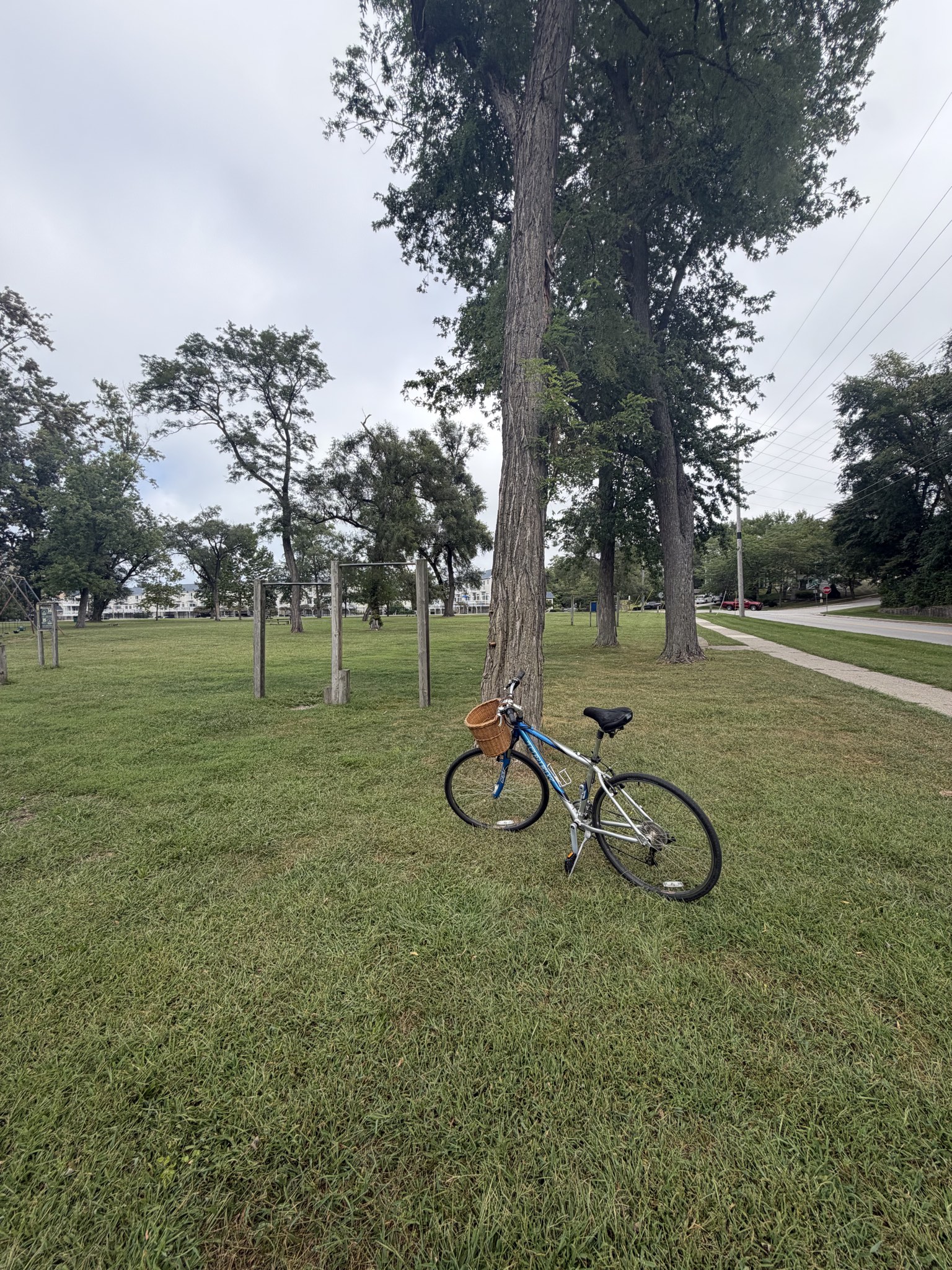 Bike media