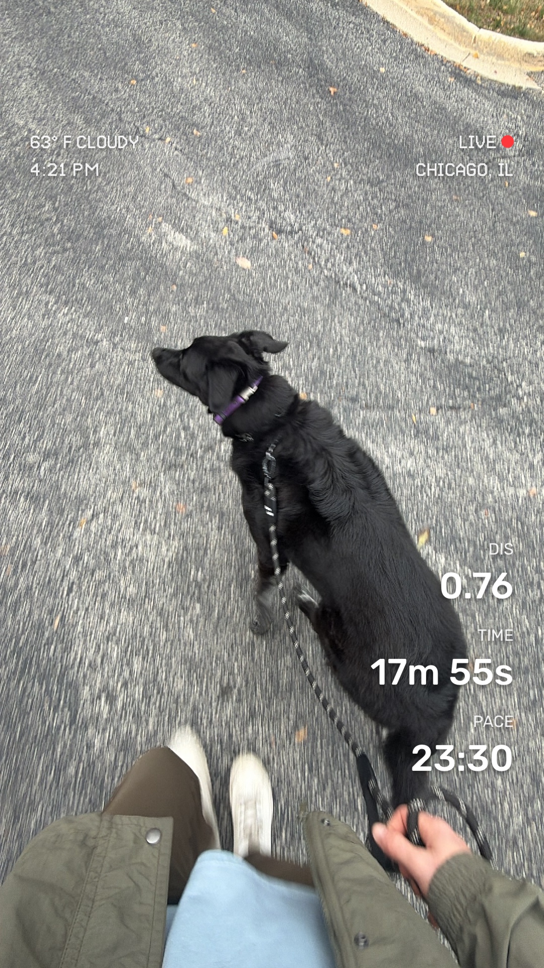 Walk media