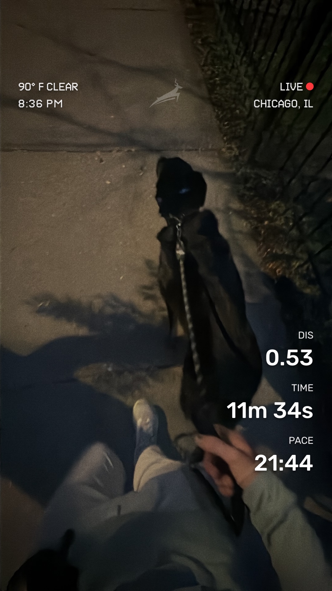 Run media