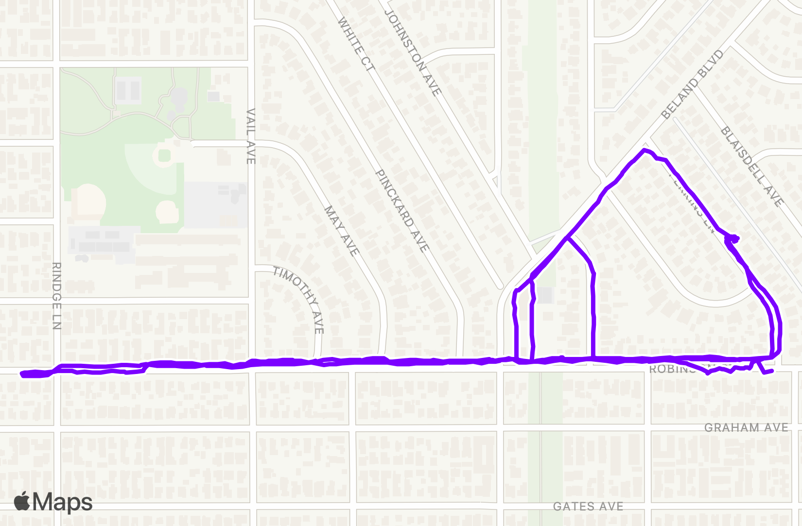 Walk training