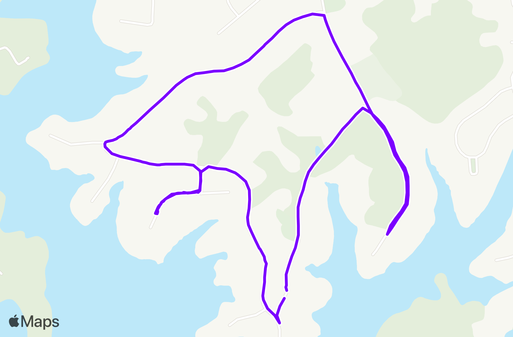 Run training