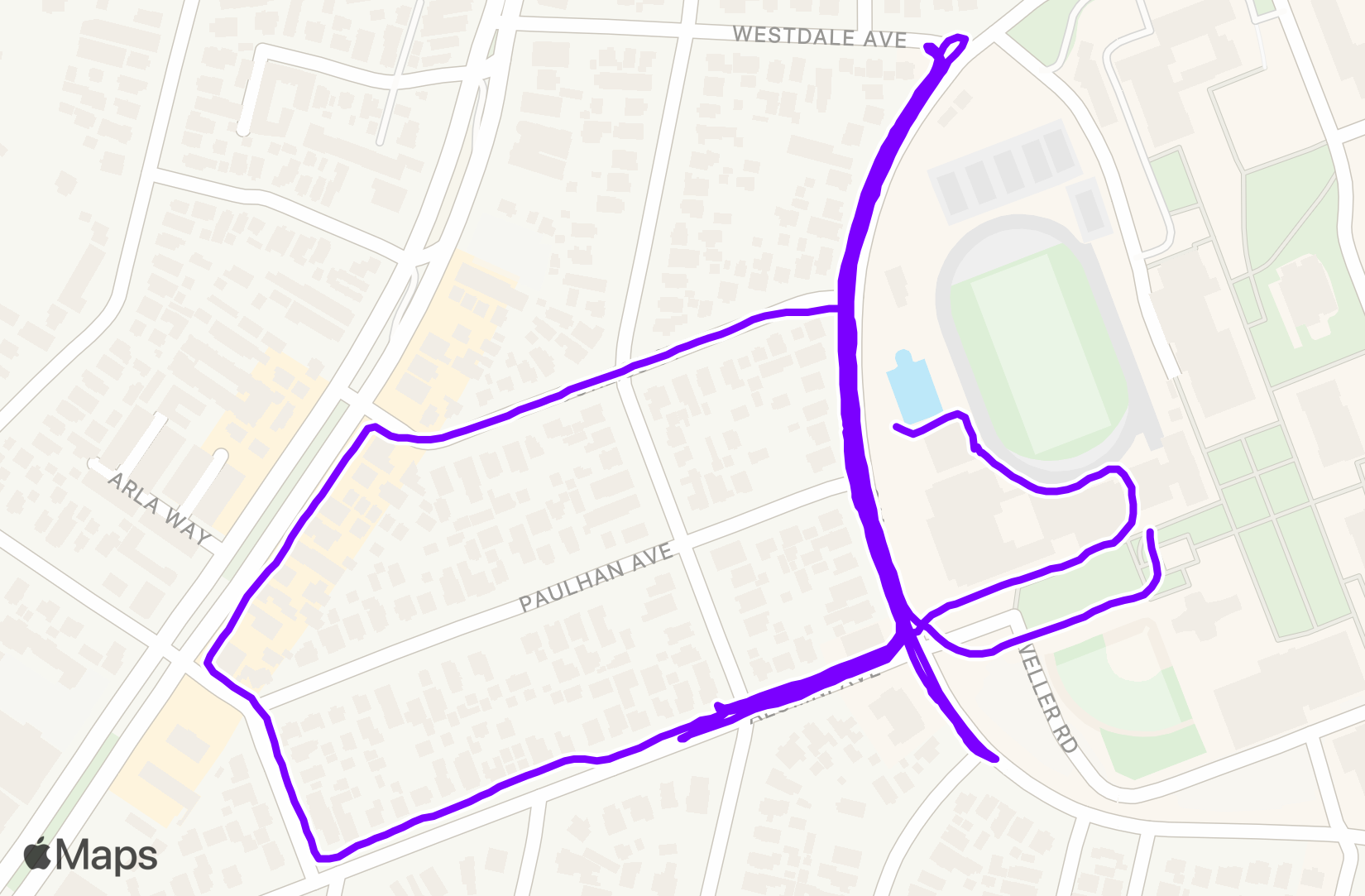 Run training