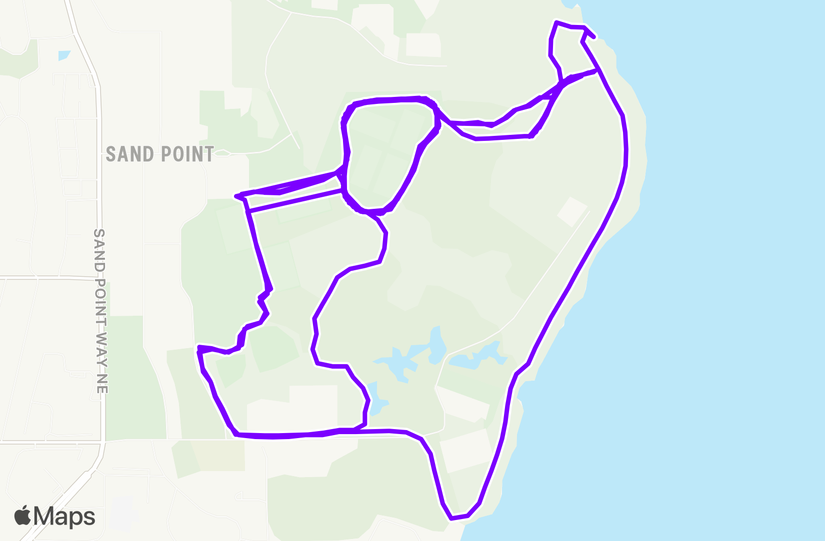 Run training