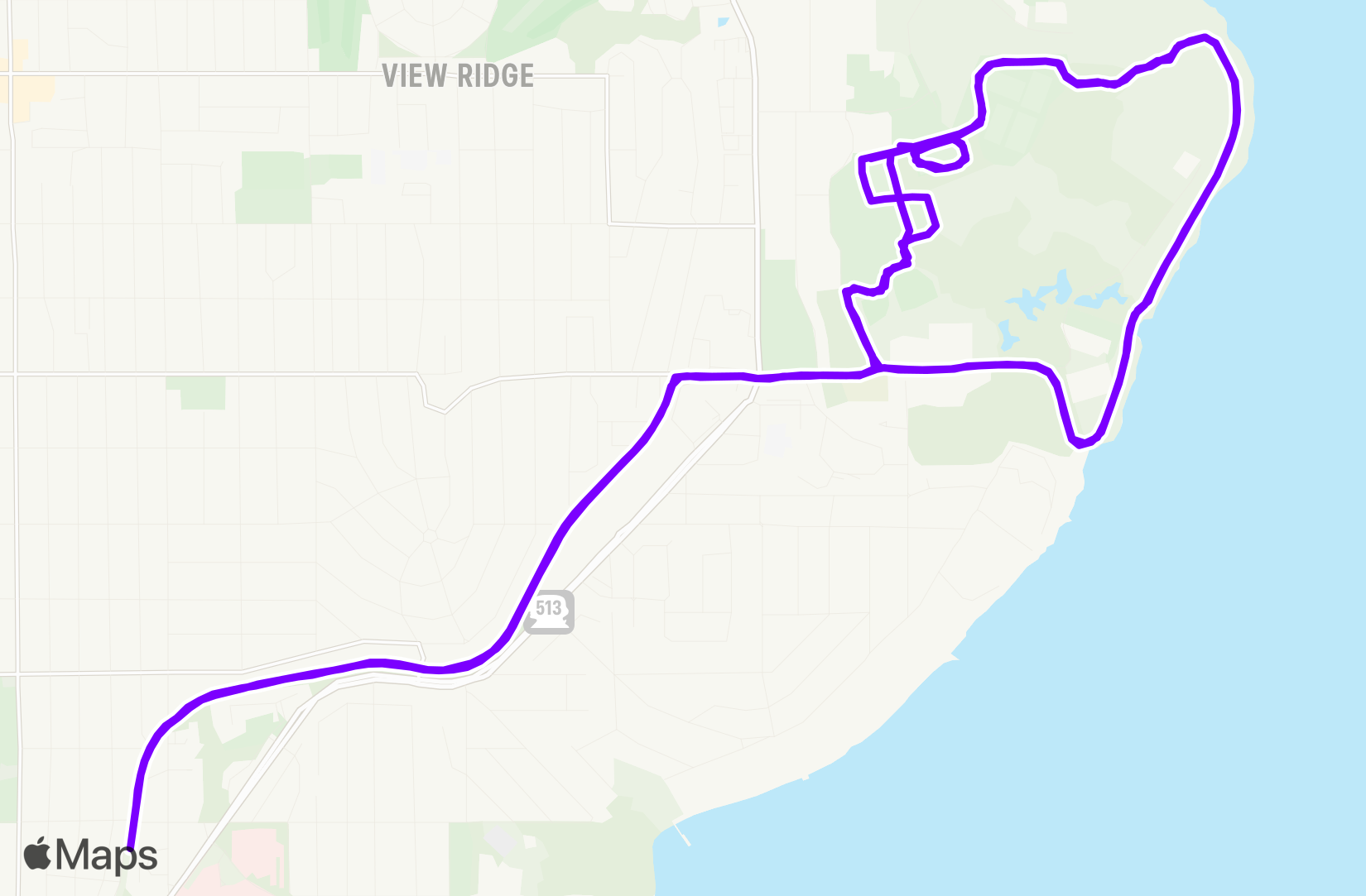 Run training