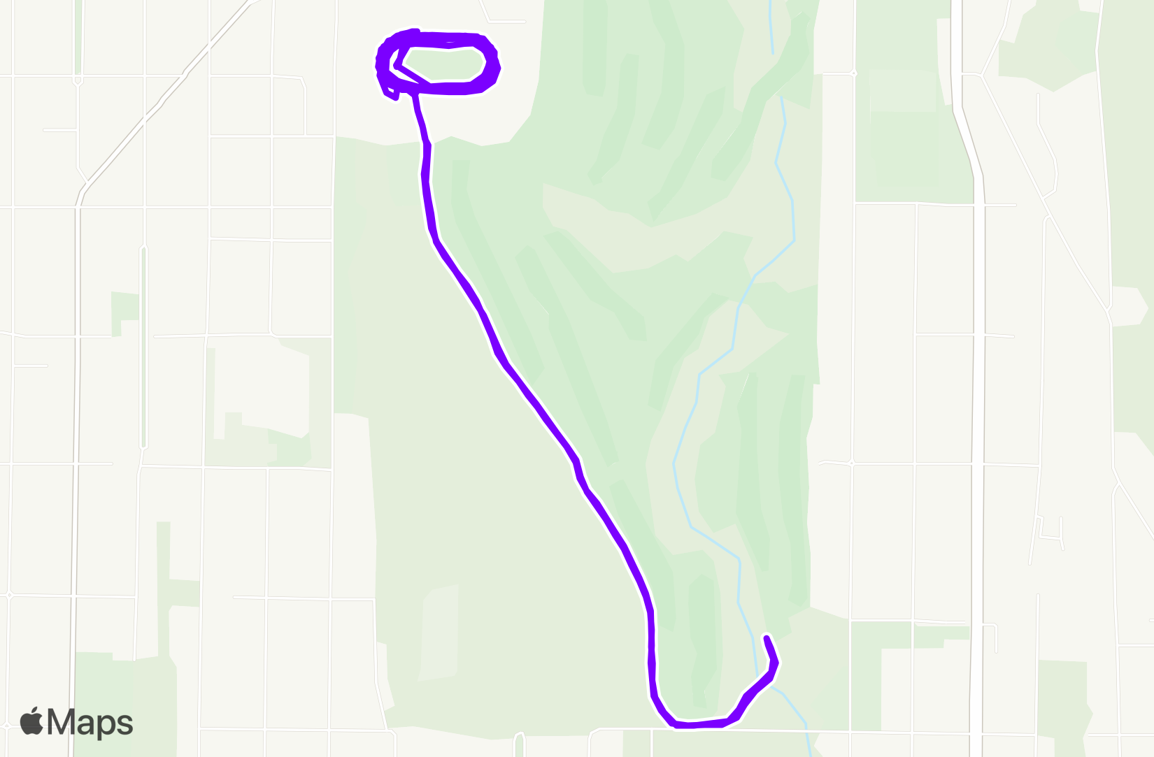 Run training