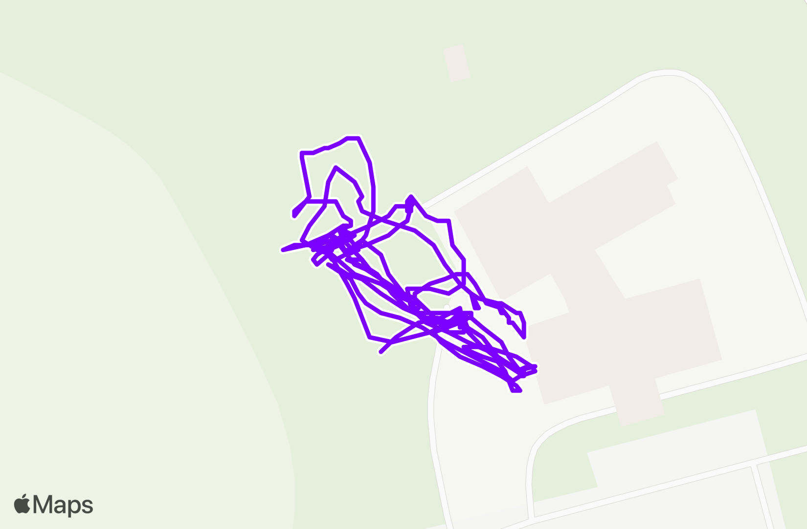 Run training
