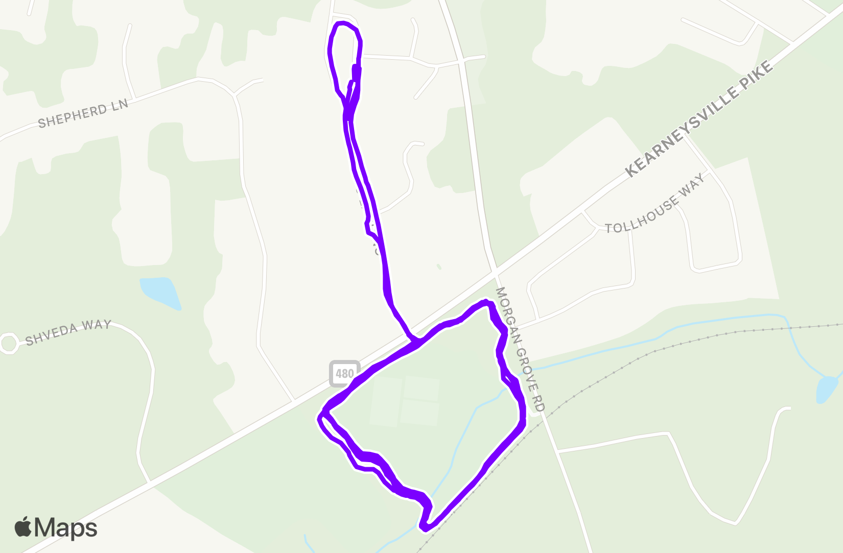 Run training