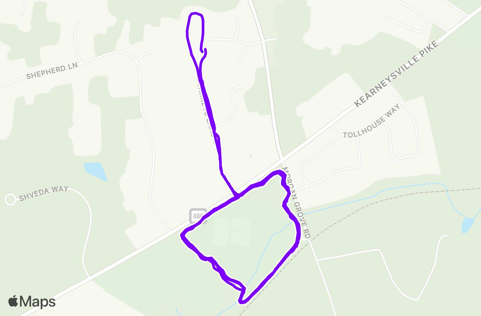 Run training