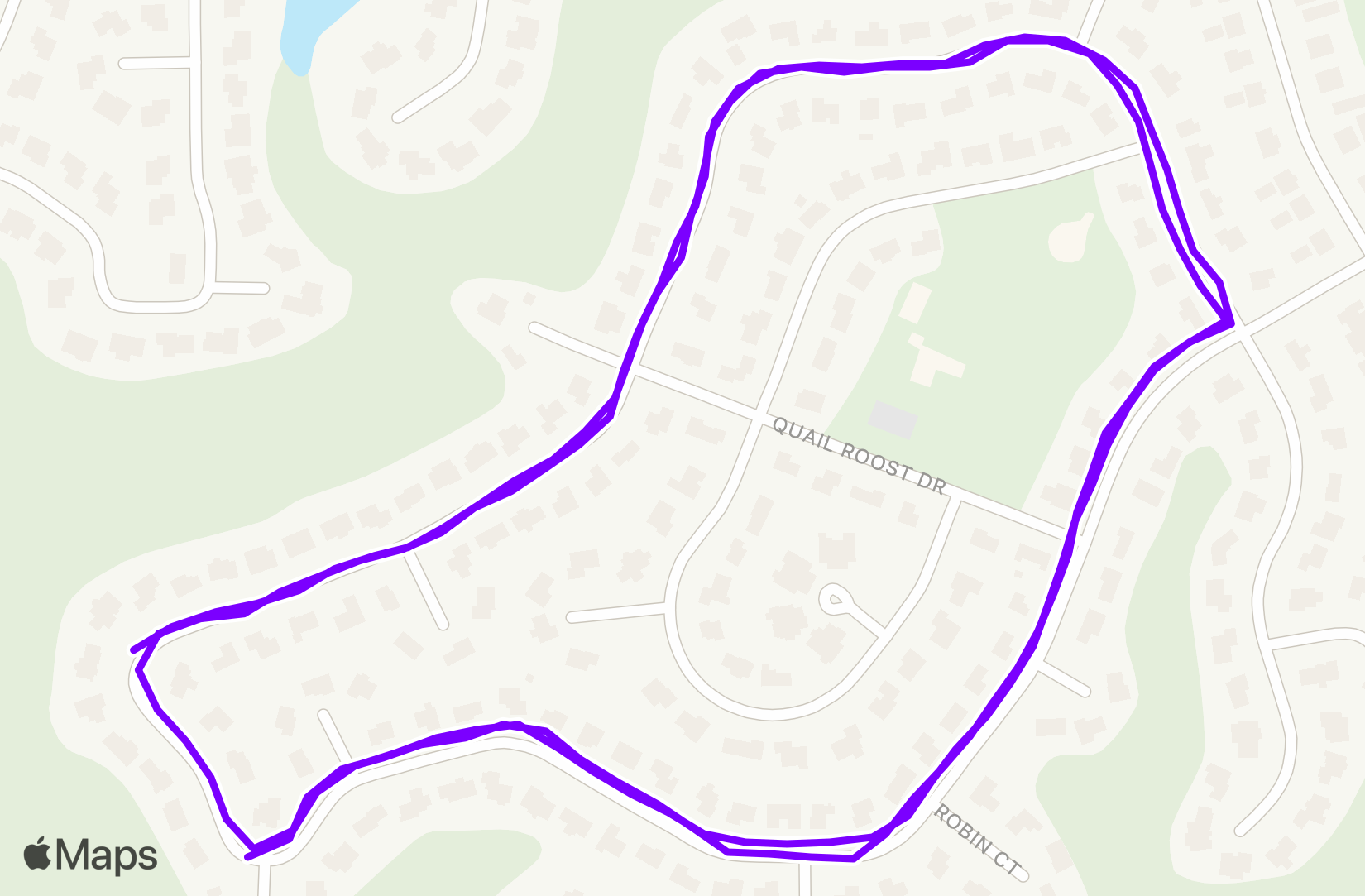 Run training