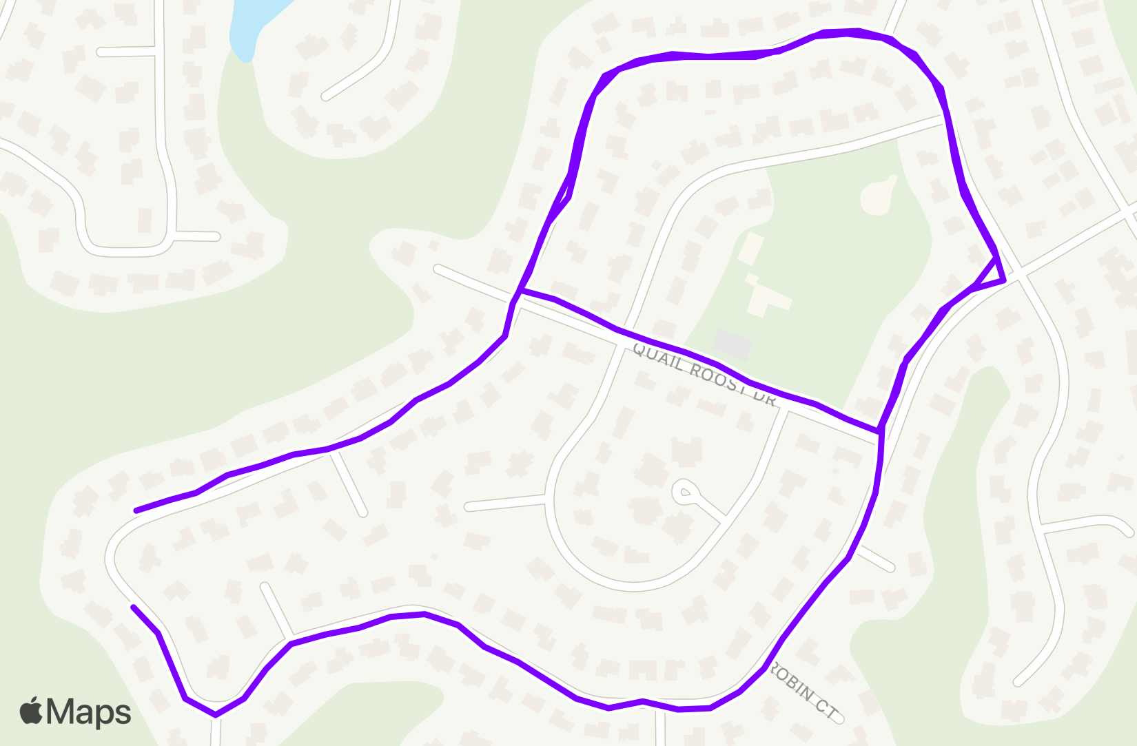 Run training