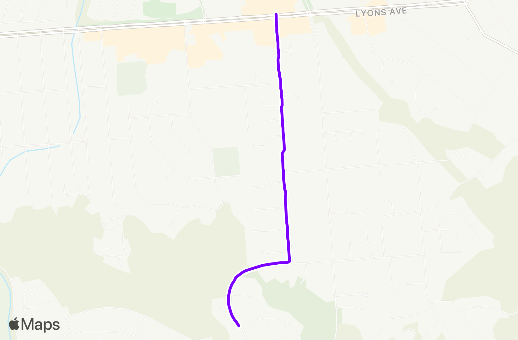 Walk training