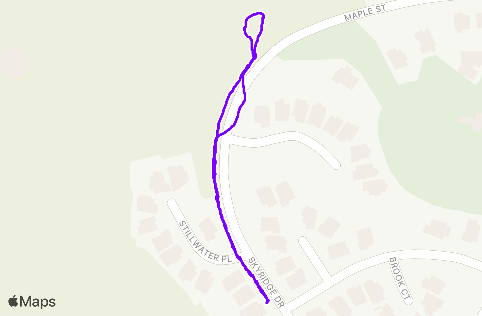Walk training