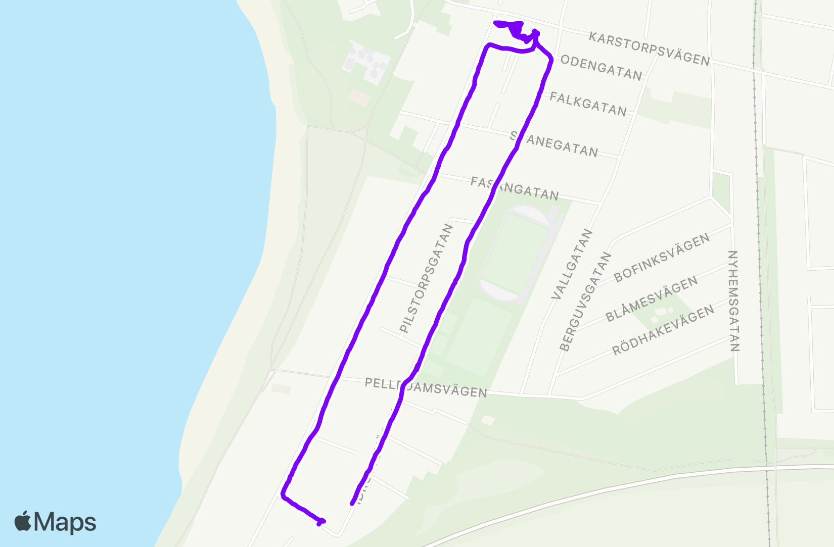 Walk training