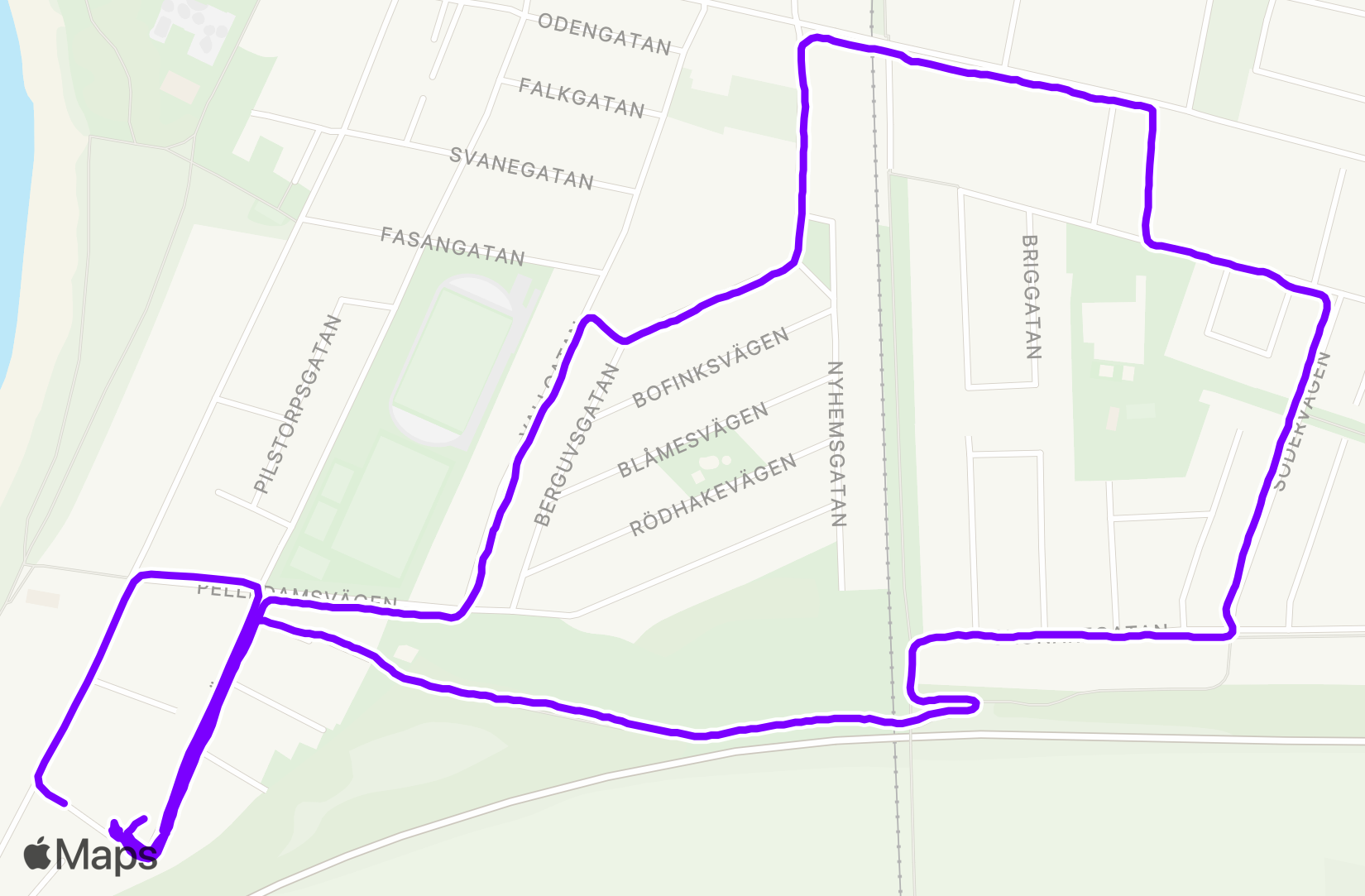 Walk training