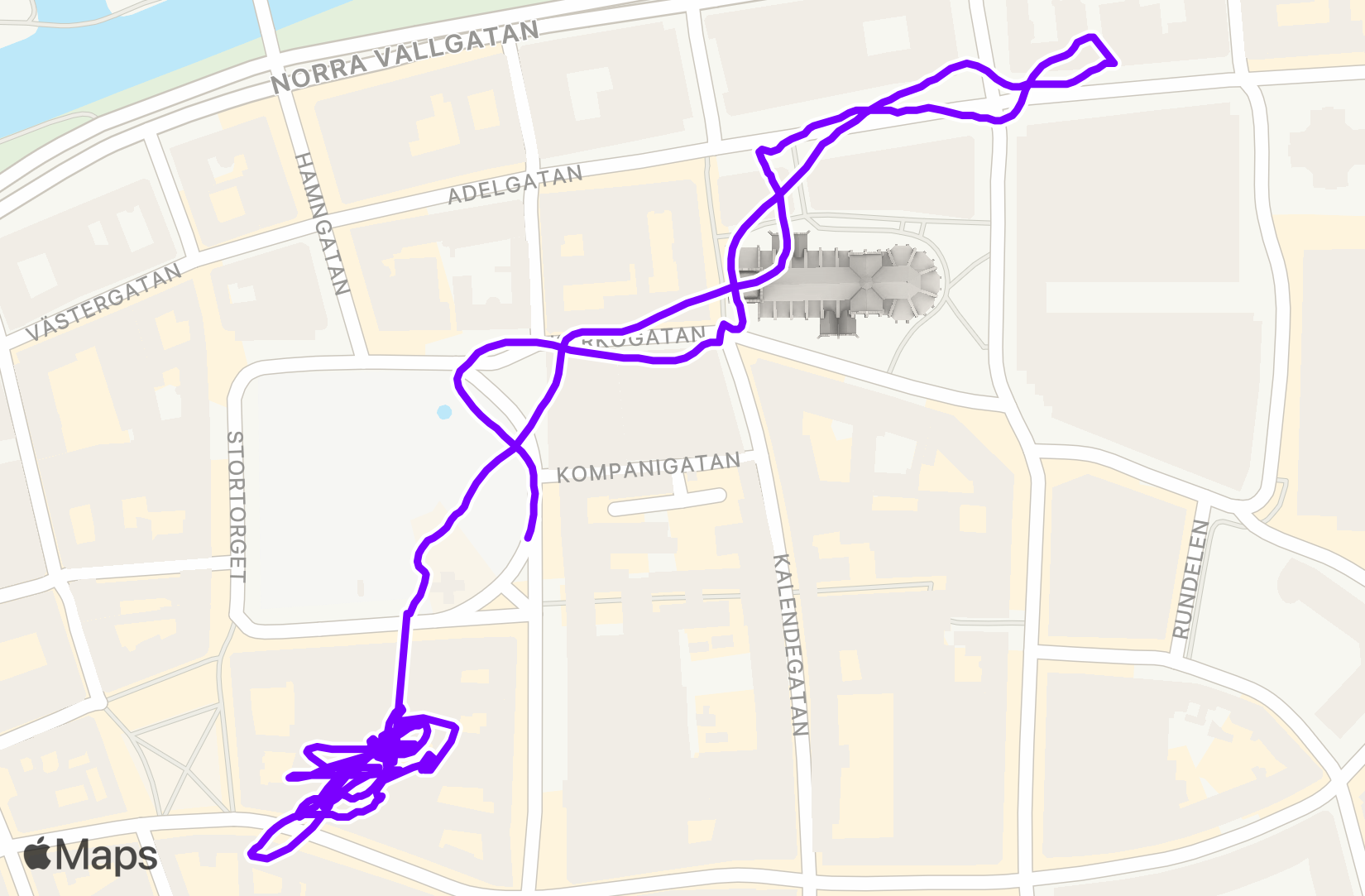 Walk training