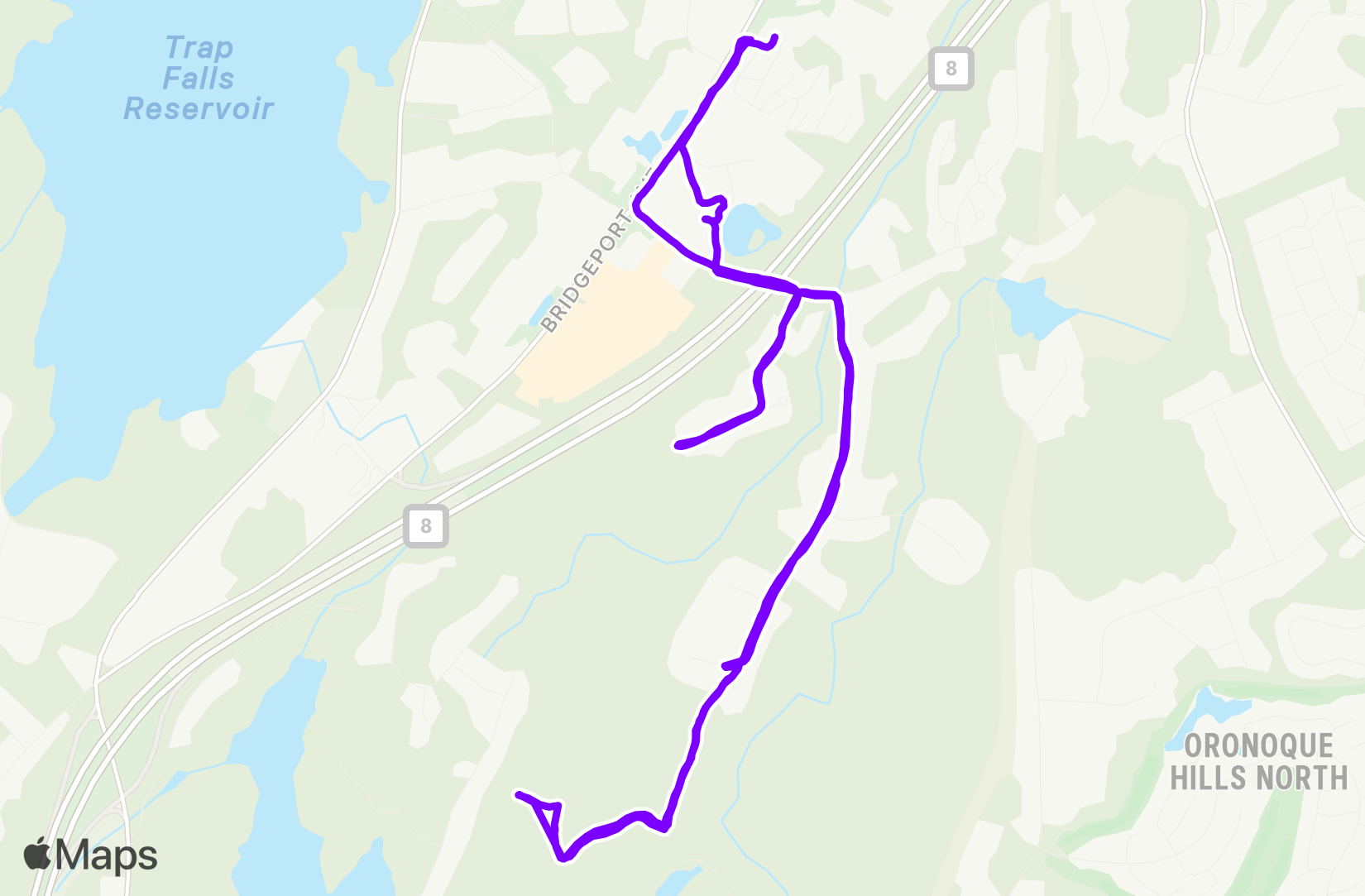 Run training