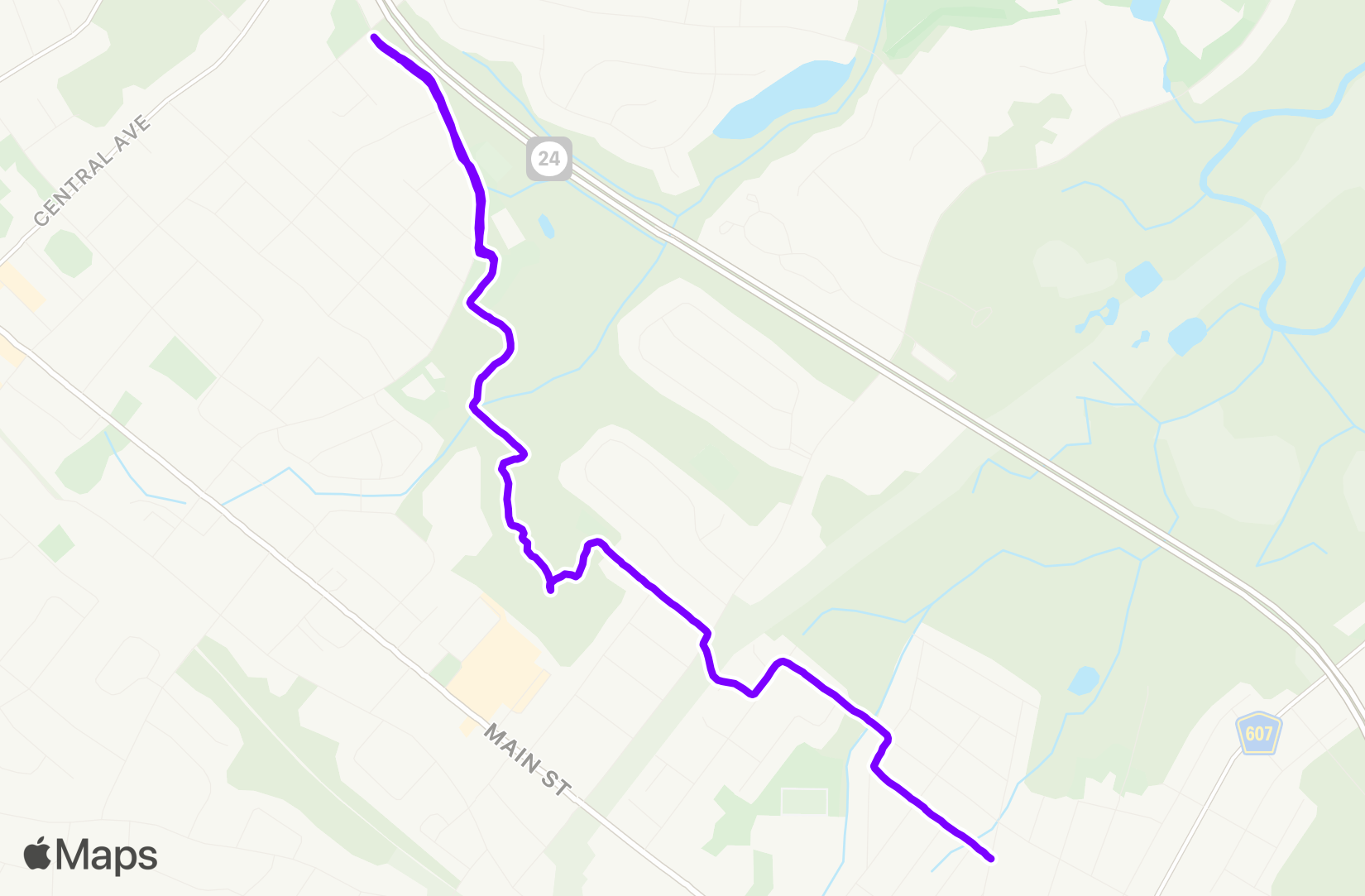 Run training