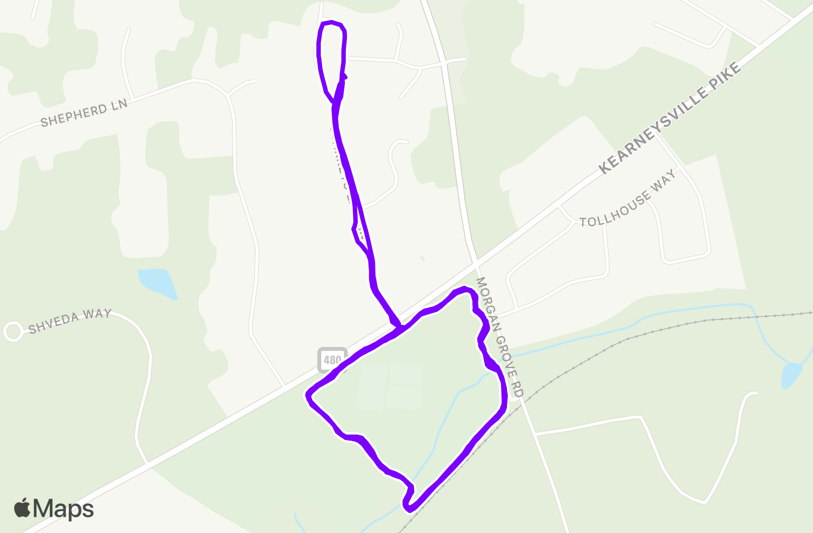 Run training