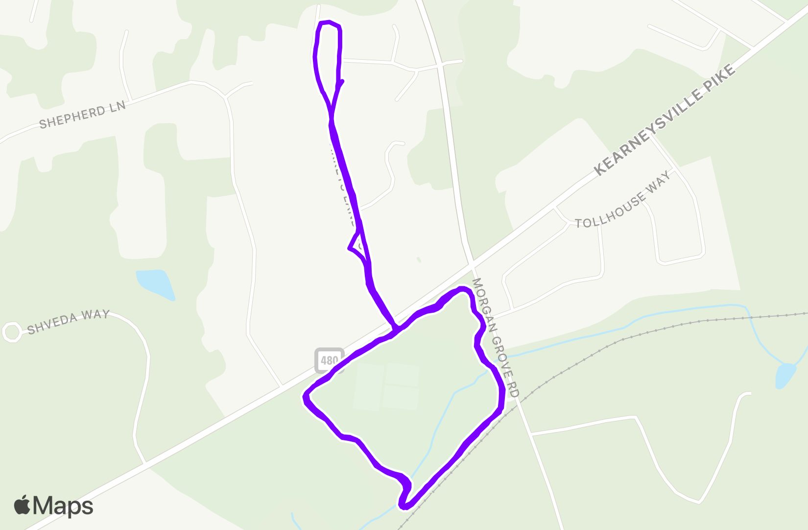 Run training
