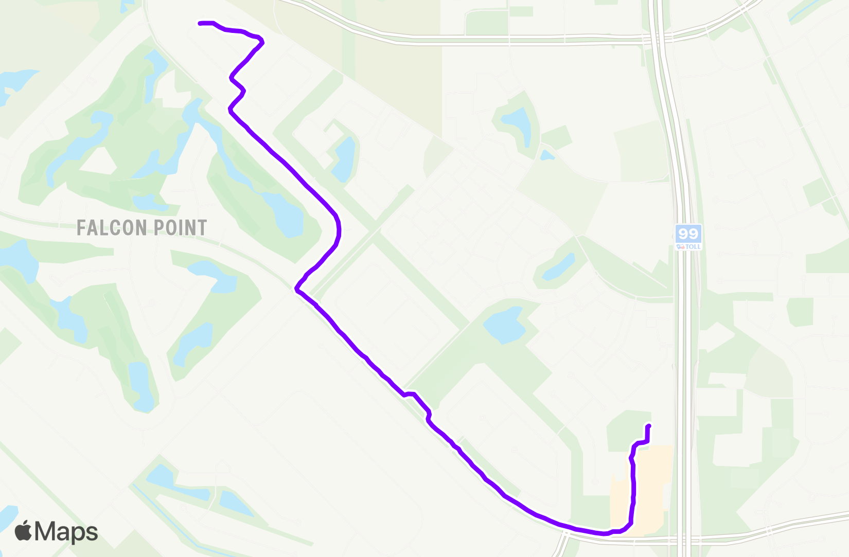 Run training