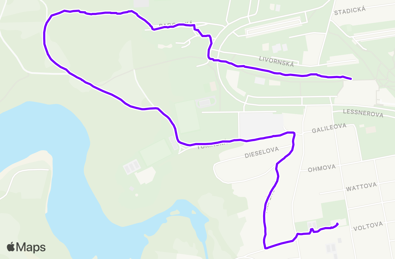 Walk training