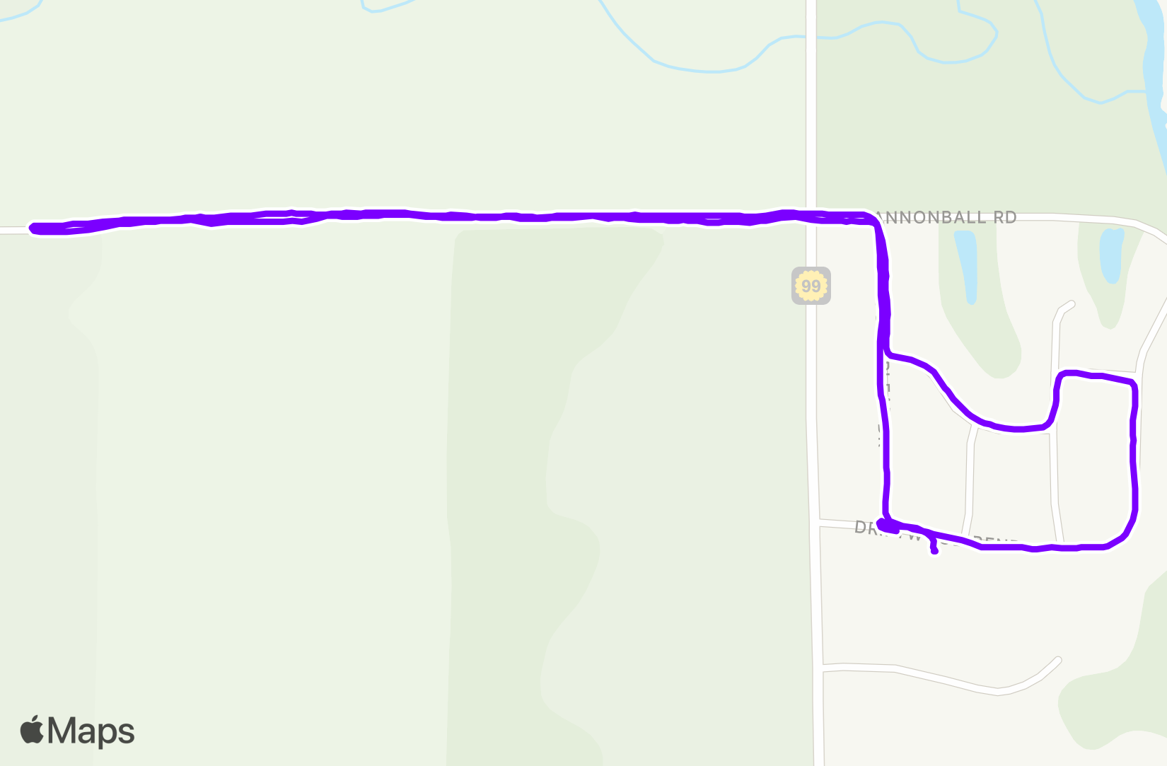 Run training