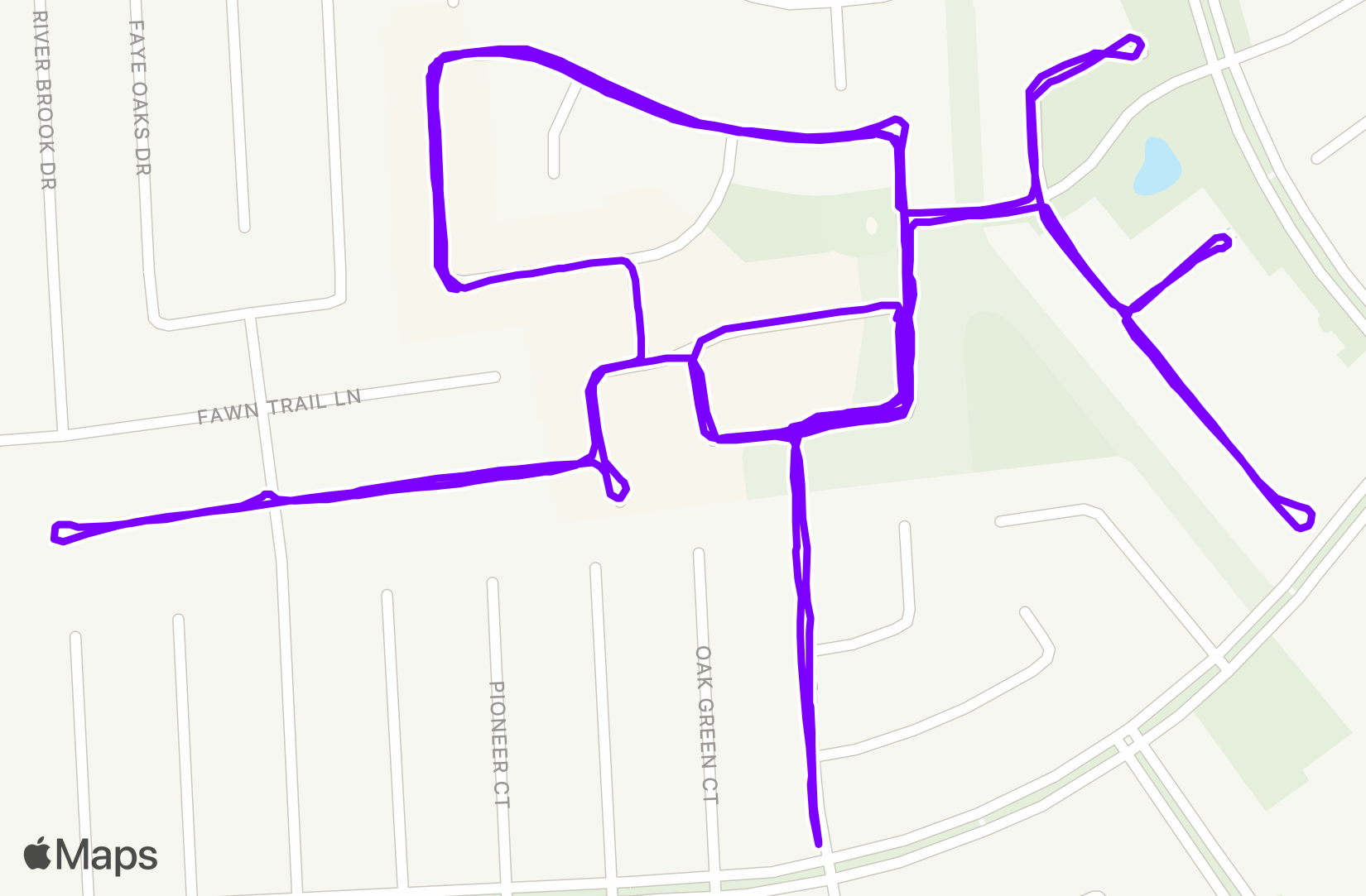 Run training