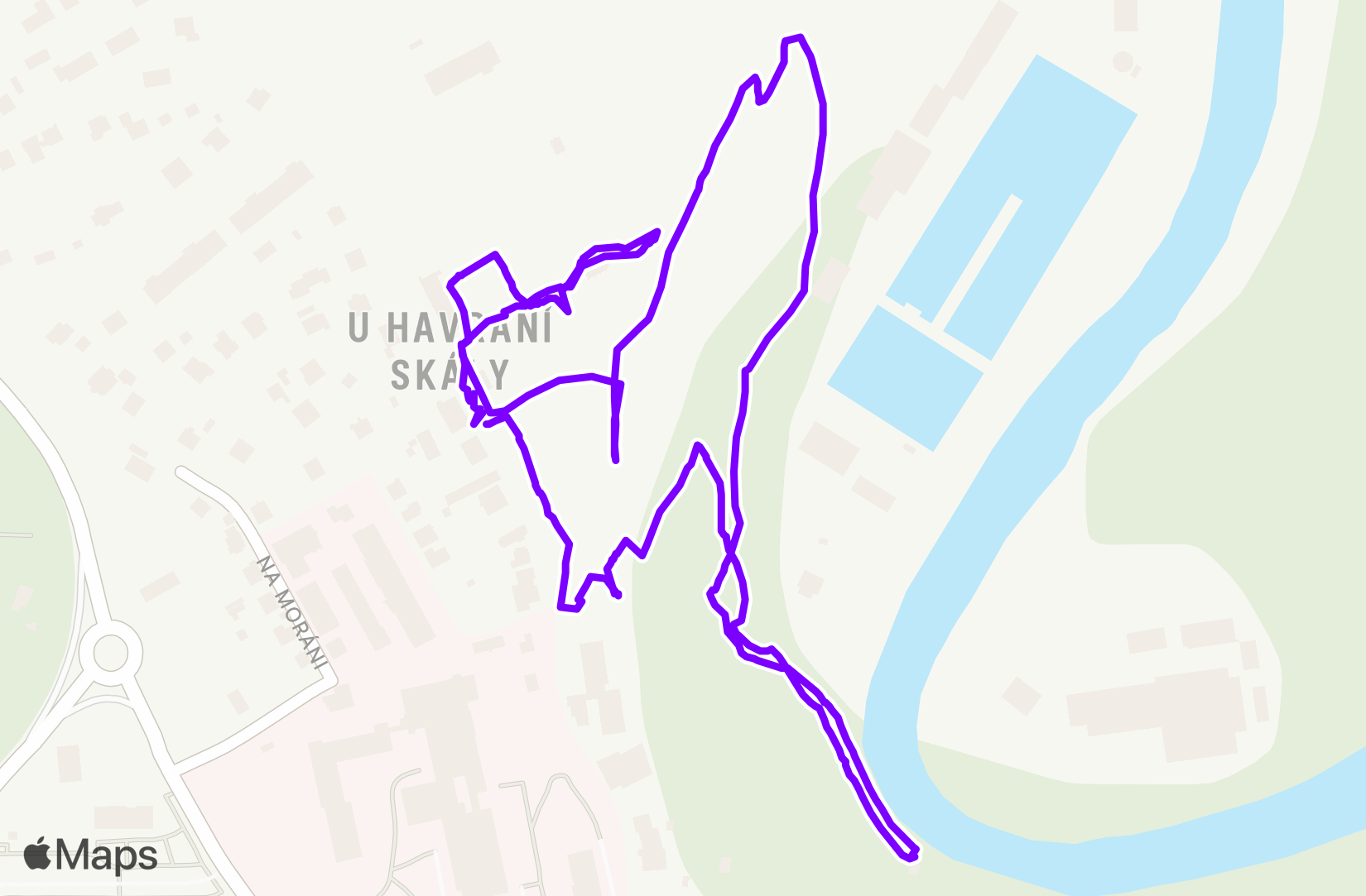 Walk training