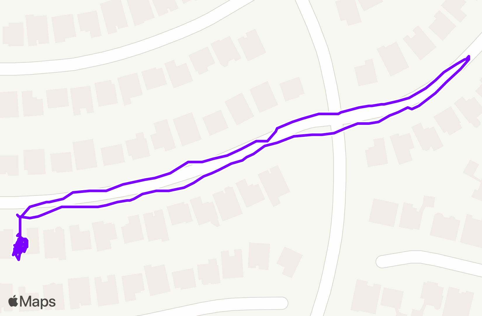 Walk training