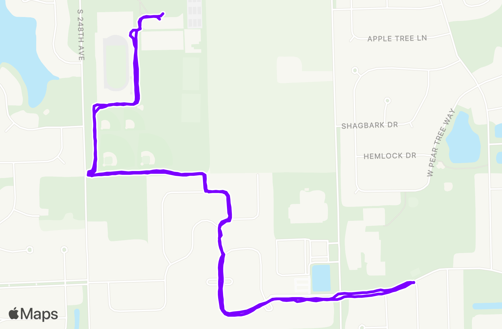 Run training