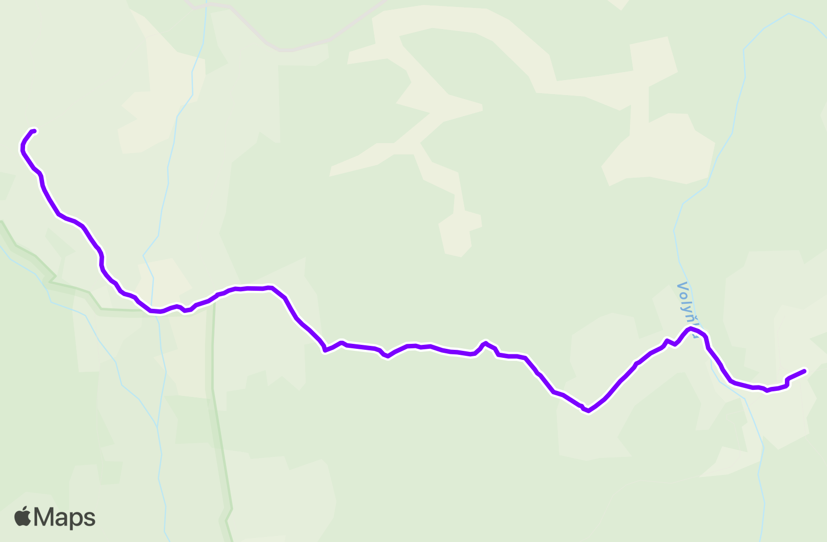 Walk training