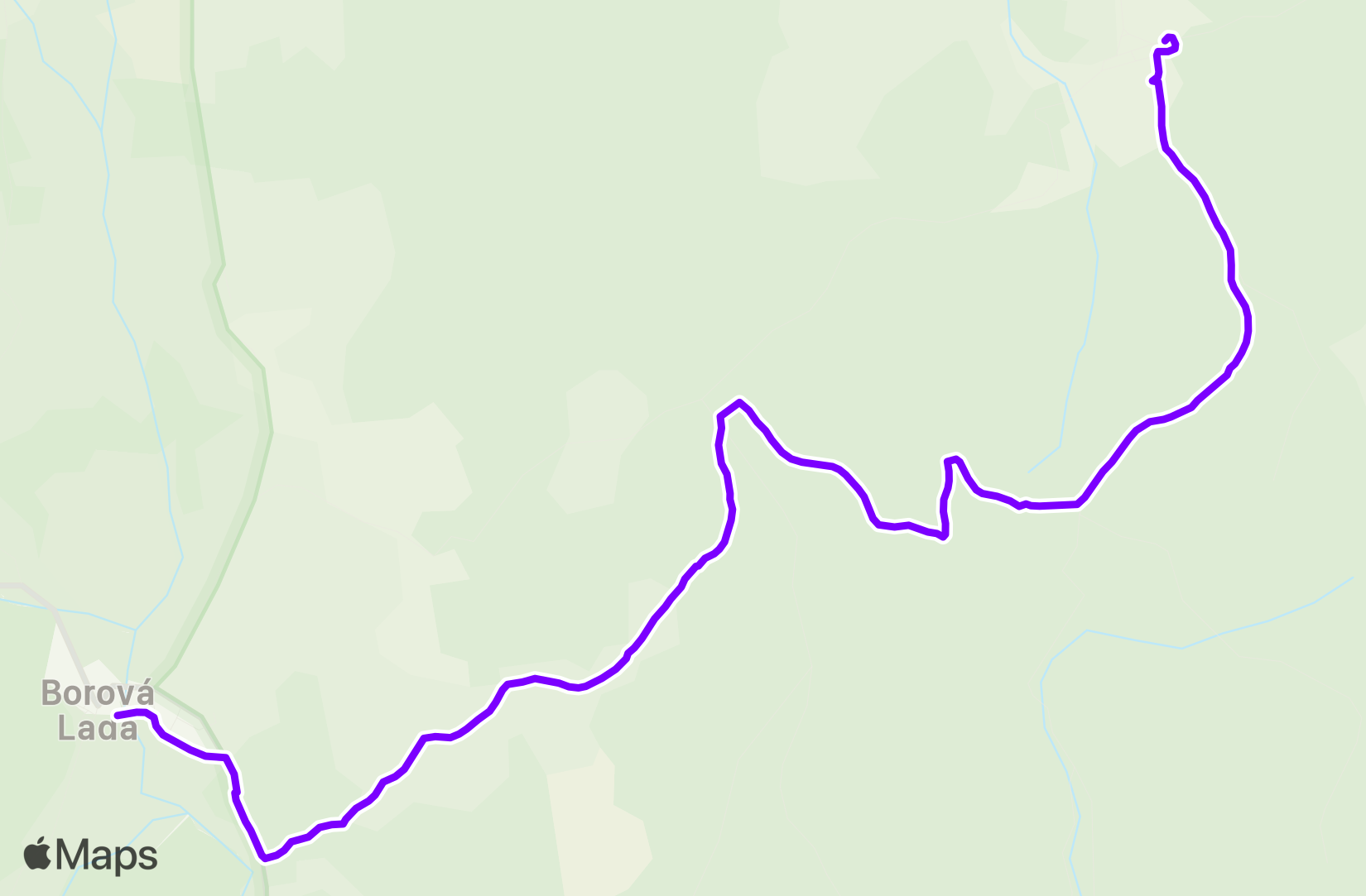 Walk training