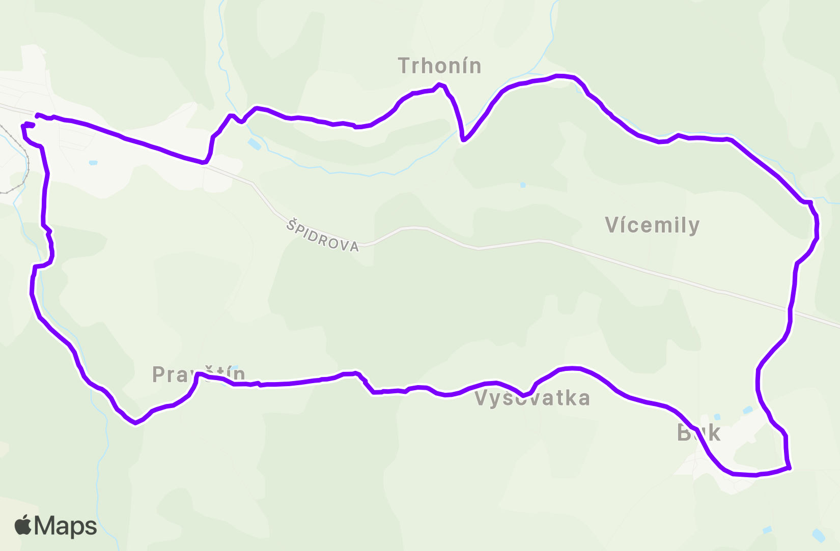 Walk training