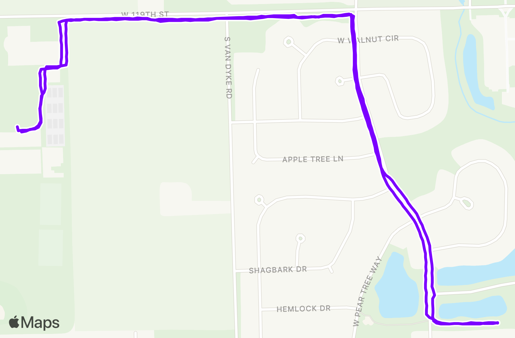 Run training
