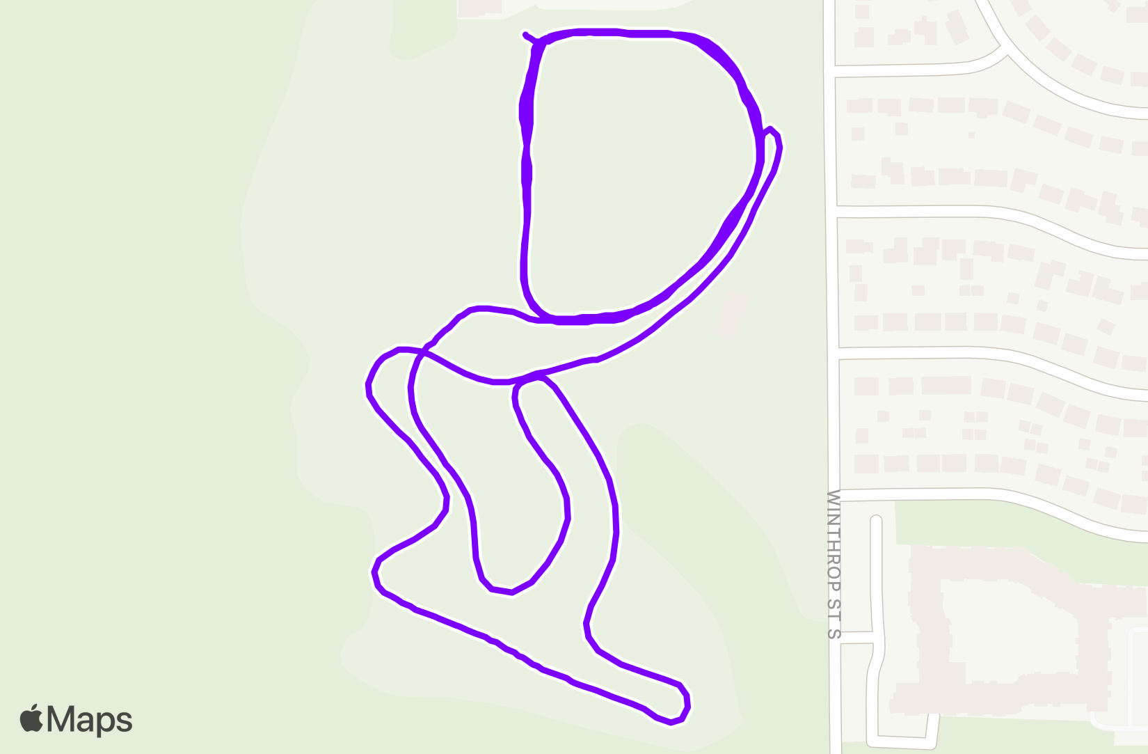 Nordic Ski training