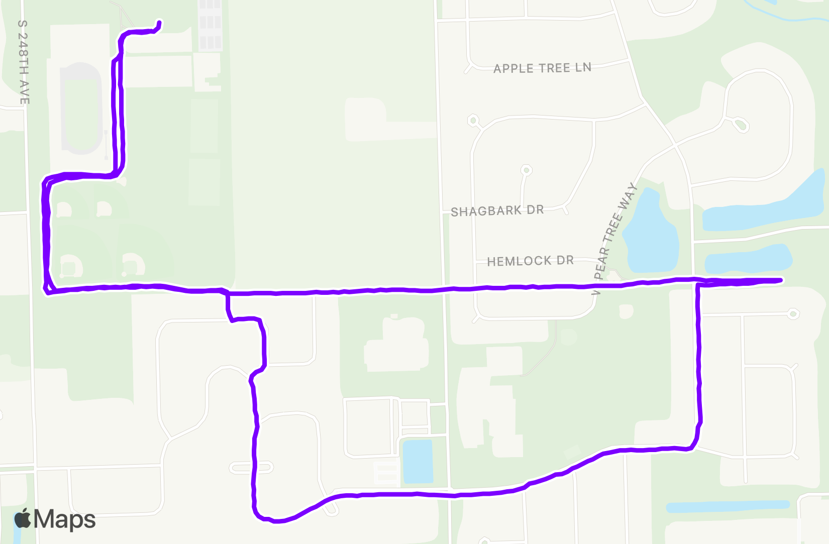 Run training