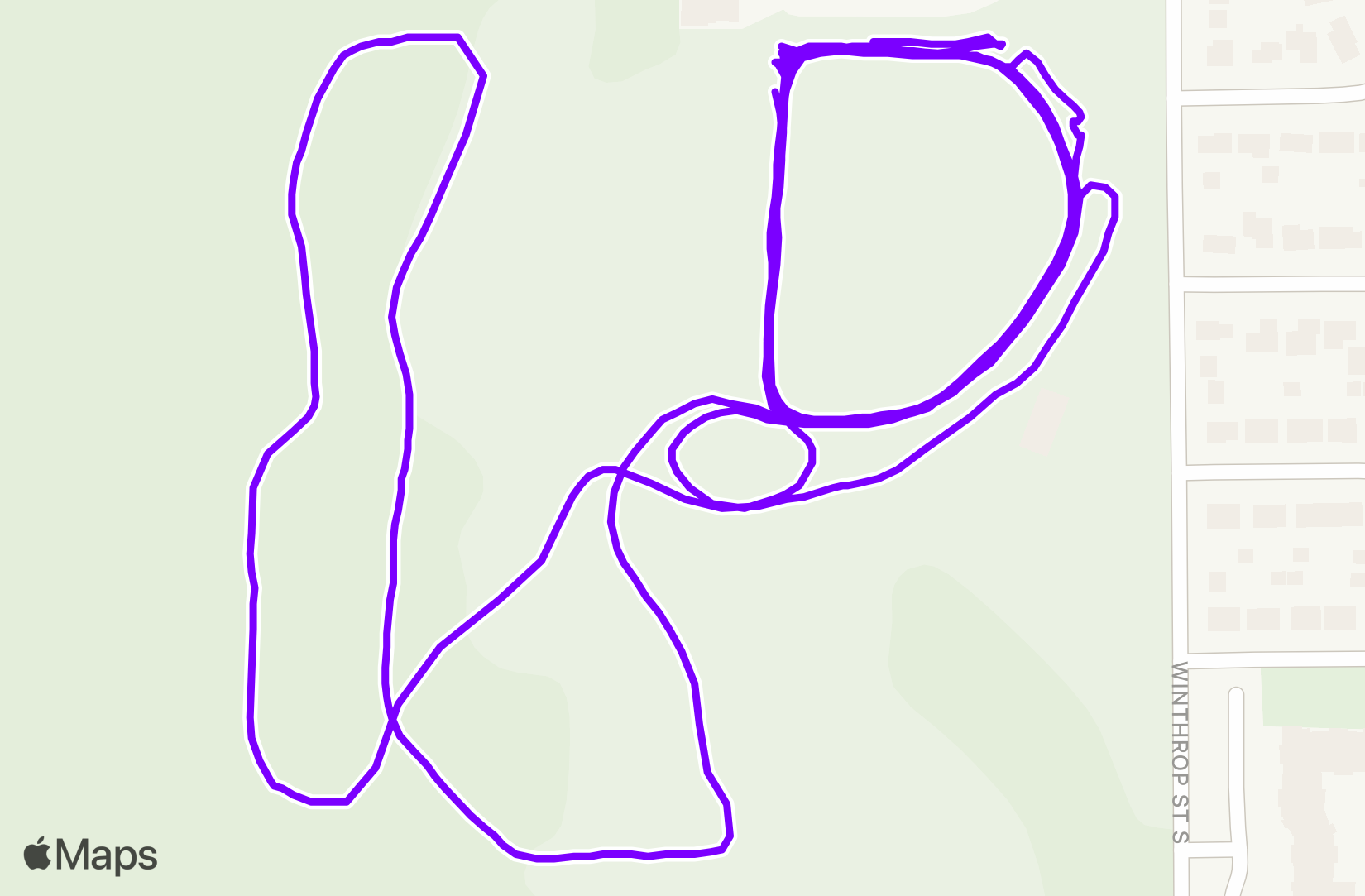 Nordic Ski training