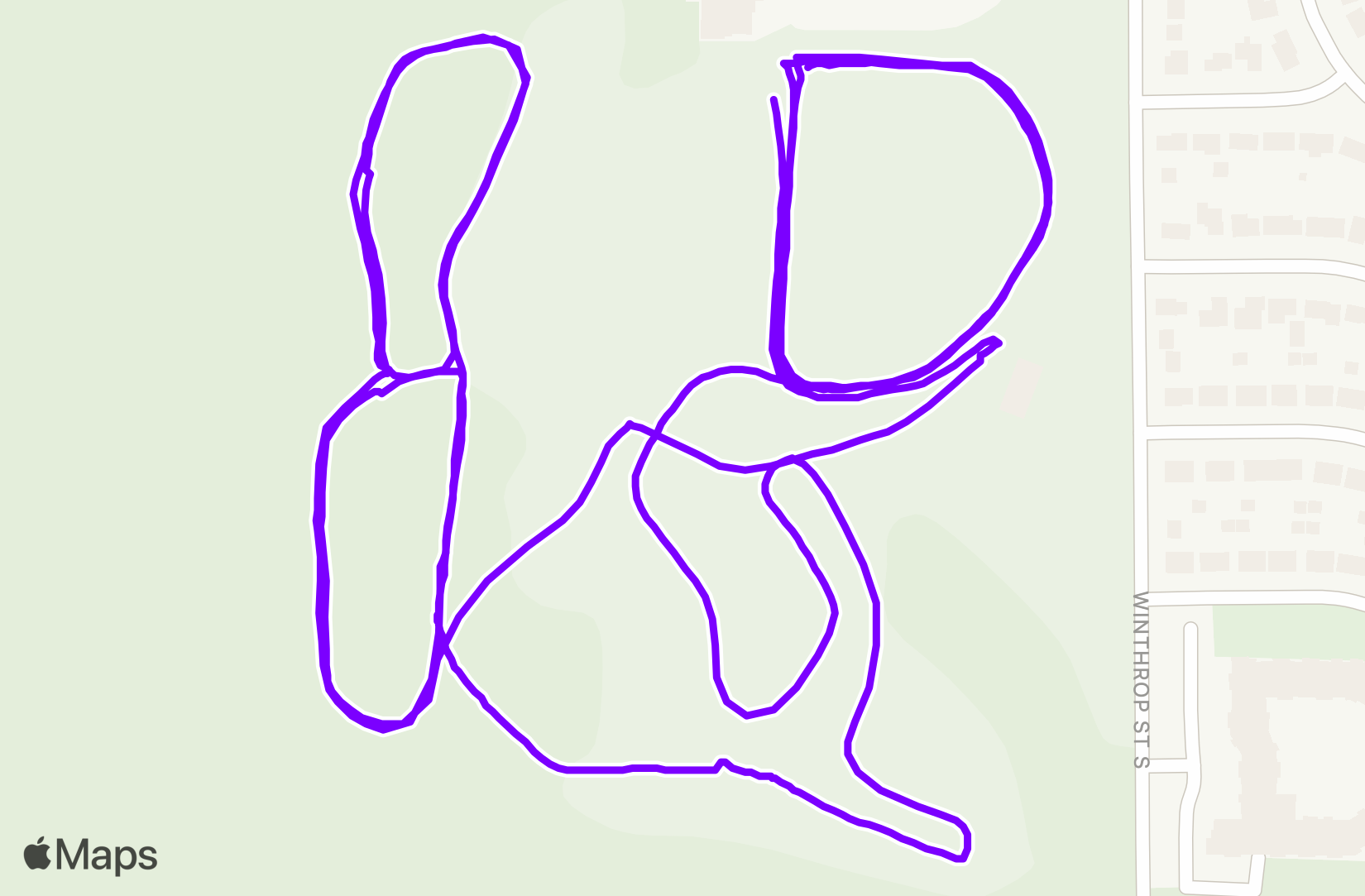 Nordic Ski training