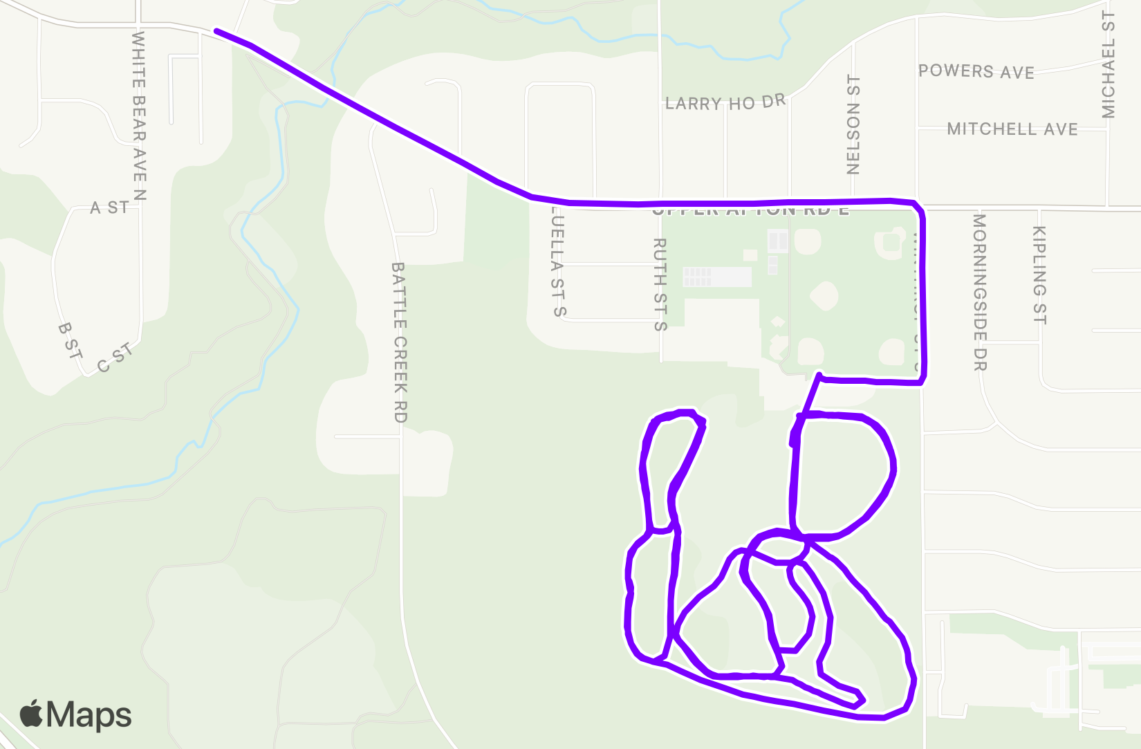 Nordic Ski training