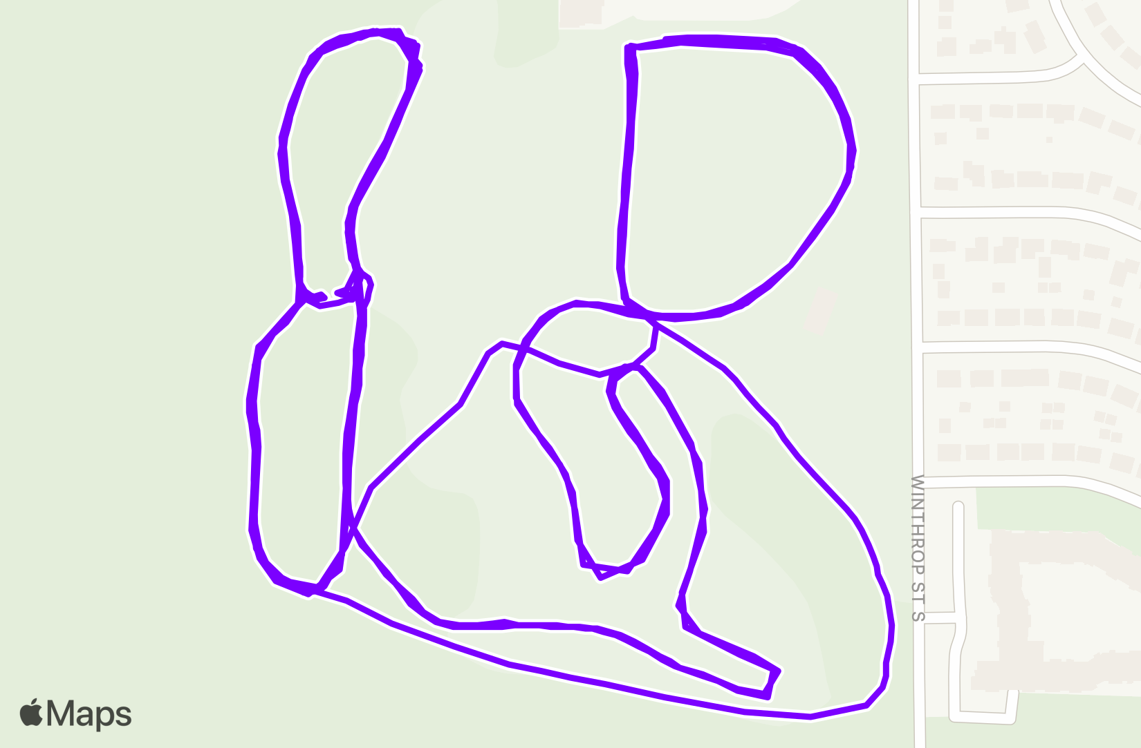 Nordic Ski training